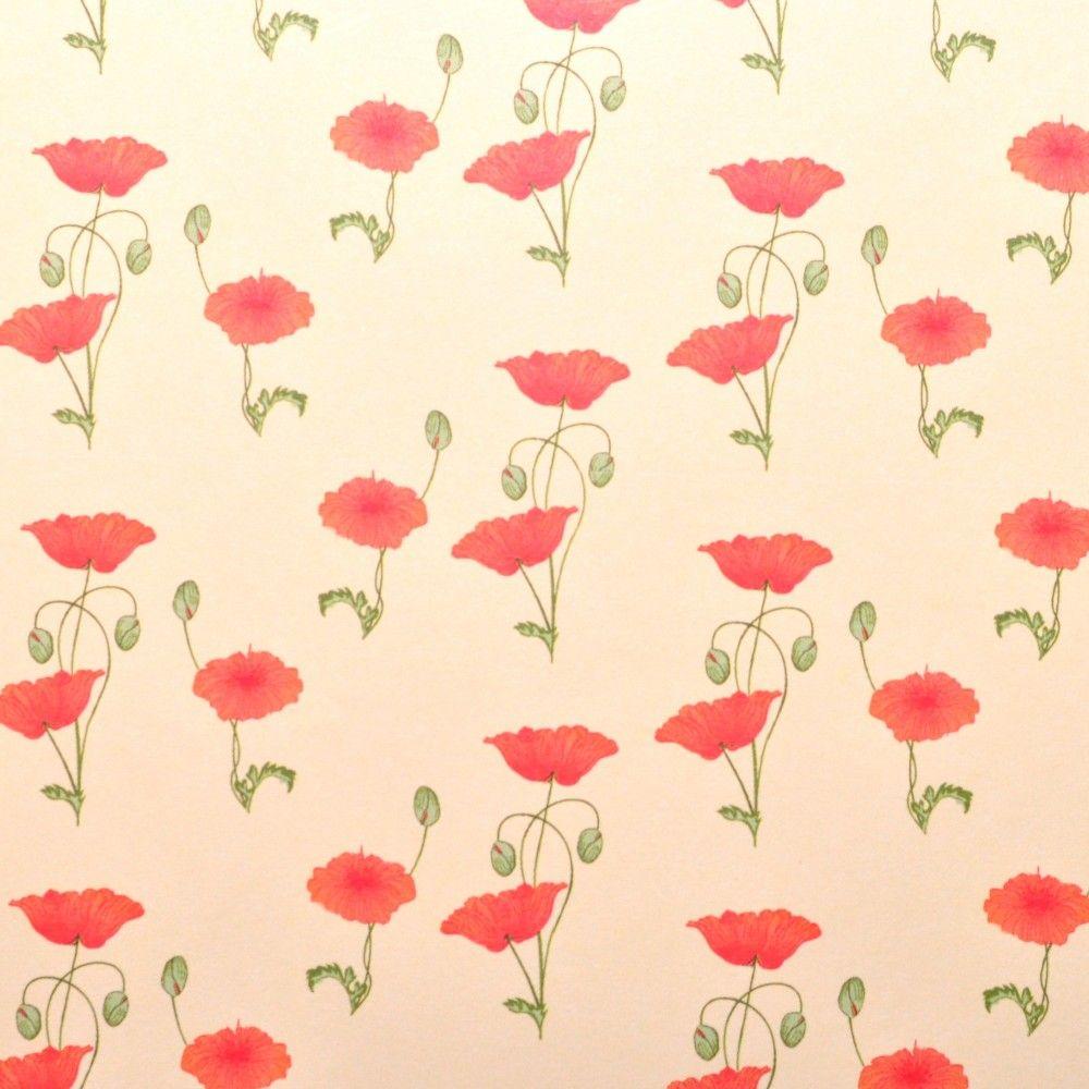 Red Poppy Wallpapers Top Free Red Poppy Backgrounds WallpaperAccess
