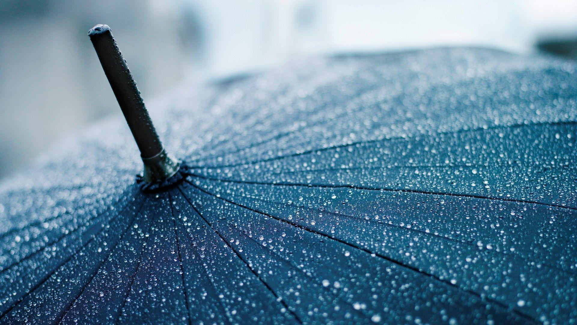 Rain Umbrella Wallpapers Top Free Rain Umbrella Backgrounds