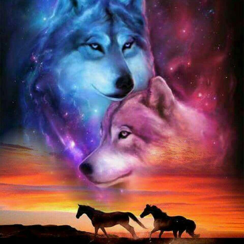 Horse and Wolf Wallpapers Top Free Horse and Wolf Backgrounds