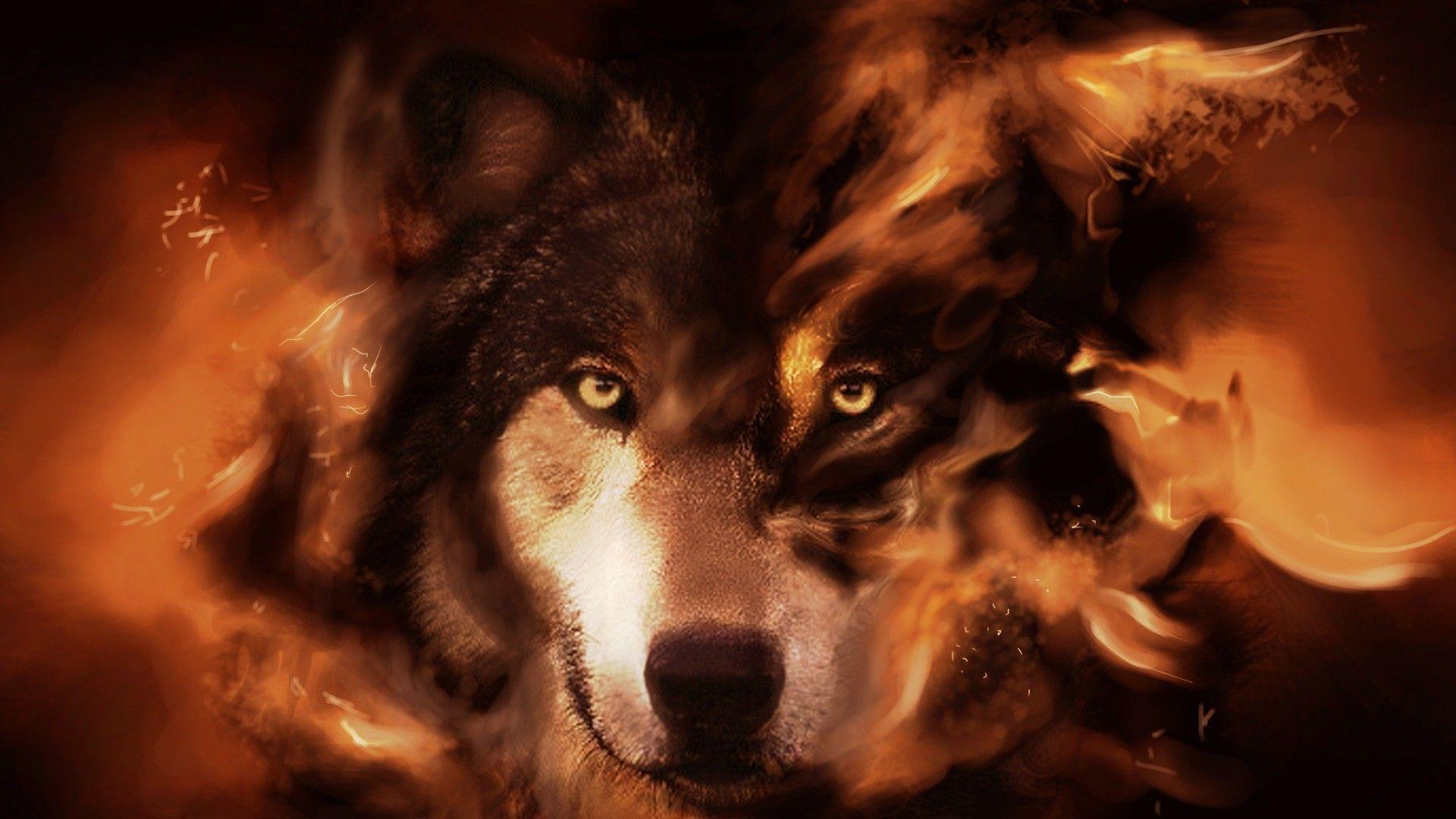 Cool Fire Wolf Wallpapers Top Free Cool Fire Wolf Backgrounds