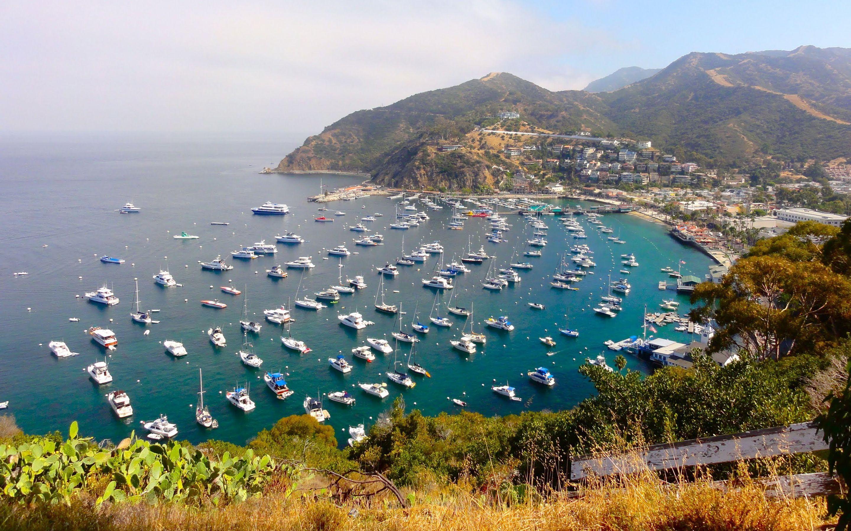 Catalina Island Wallpapers Top Free Catalina Island Backgrounds
