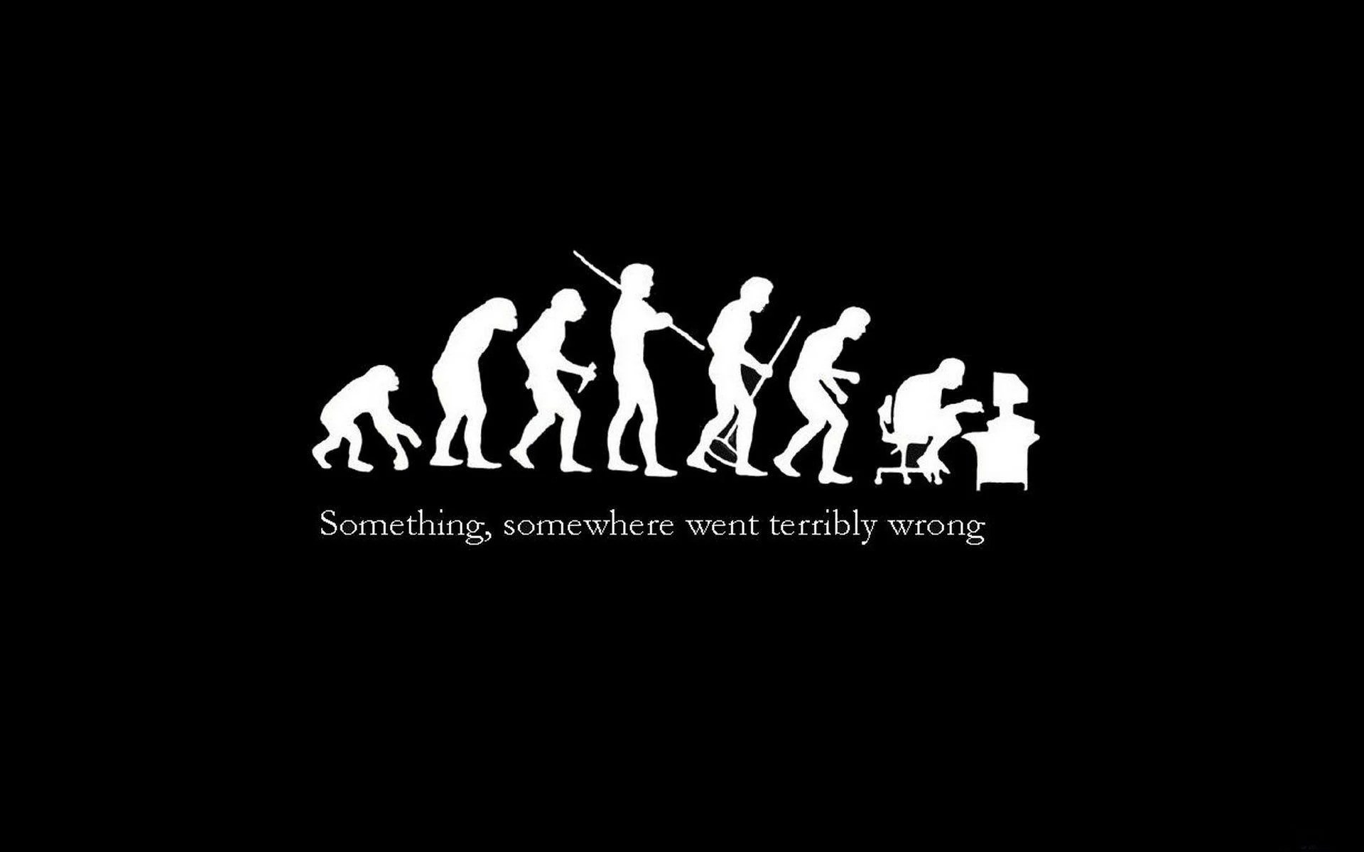 Funny Wallpapers Top Free Funny Backgrounds WallpaperAccess