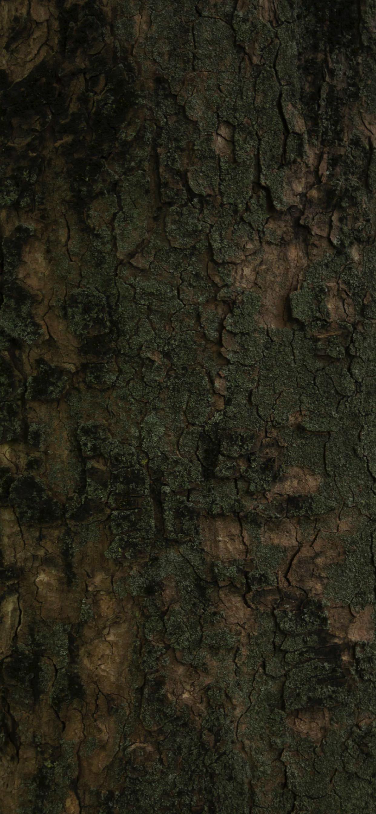 Brown iPhone Wallpapers Top Free Brown iPhone Backgrounds