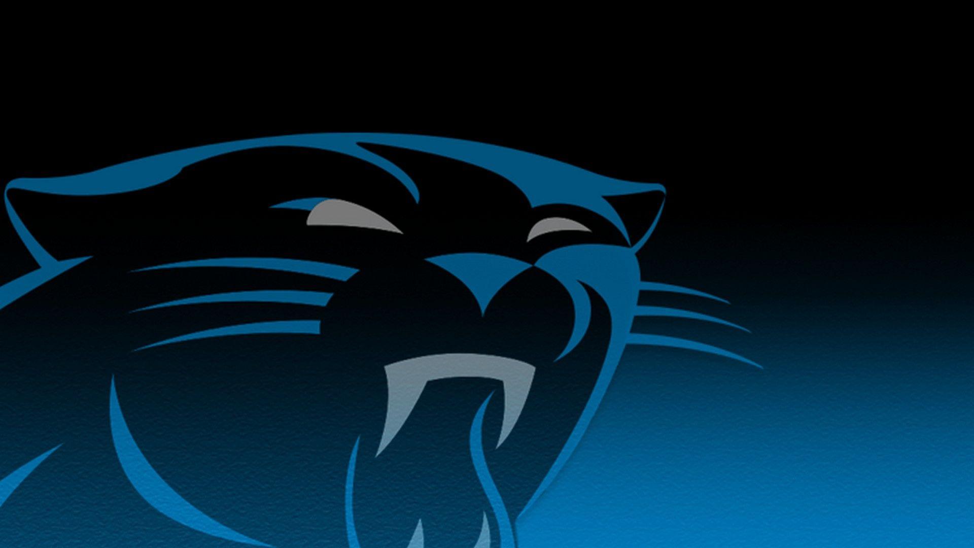 Carolina Panthers Wallpapers Top Free Carolina Panthers