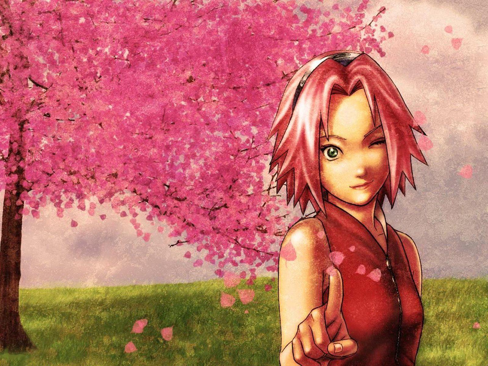 Naruto Sakura Wallpapers Top Free Naruto Sakura Backgrounds