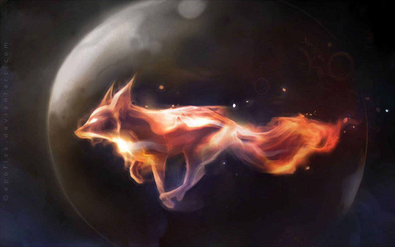 Cool Fox Wallpapers Top Free Cool Fox Backgrounds WallpaperAccess
