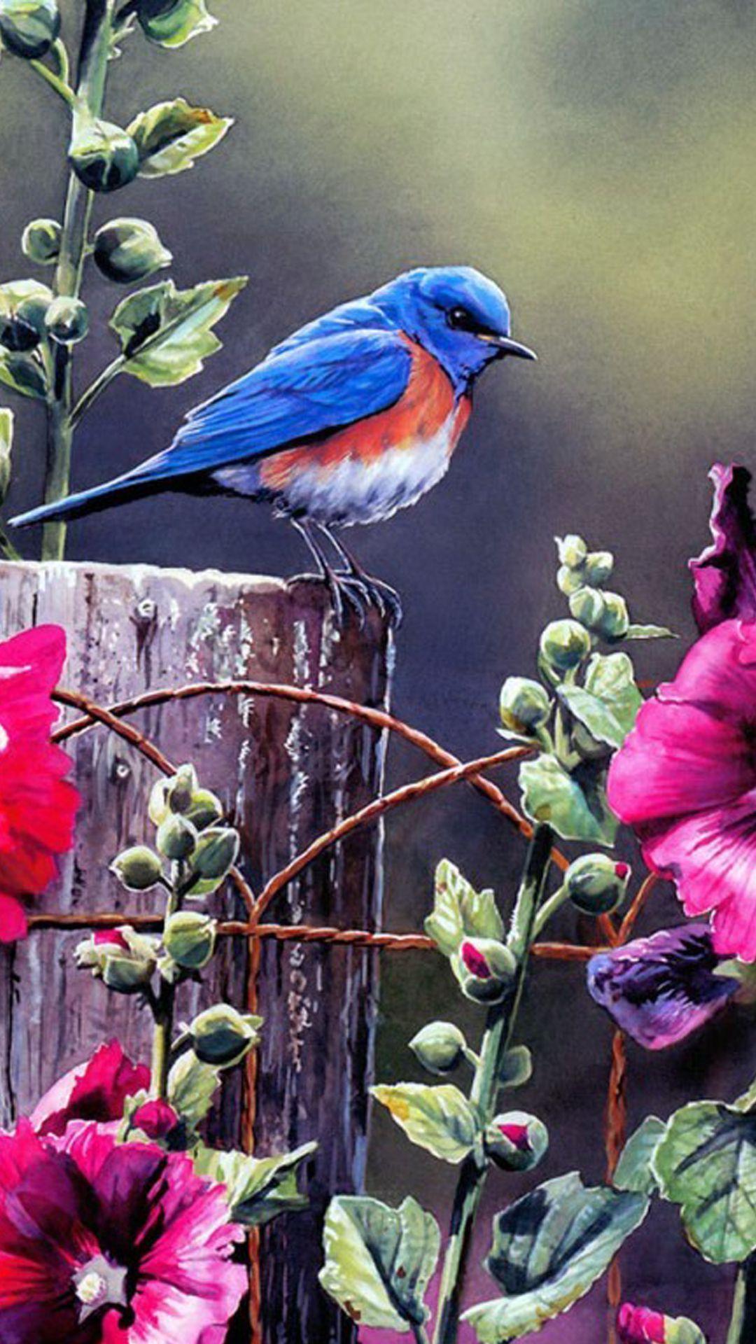 Blue Bird Wallpapers Top Free Blue Bird Backgrounds WallpaperAccess