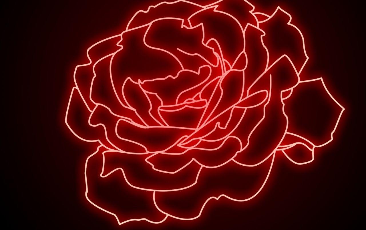 Neon Rose Wallpapers Top Free Neon Rose Backgrounds WallpaperAccess