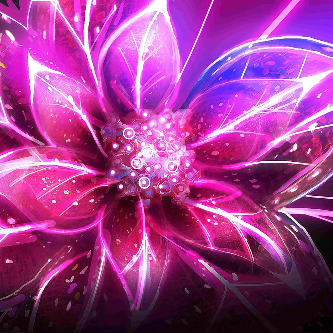 Neon Lotus Wallpapers Top Free Neon Lotus Backgrounds WallpaperAccess