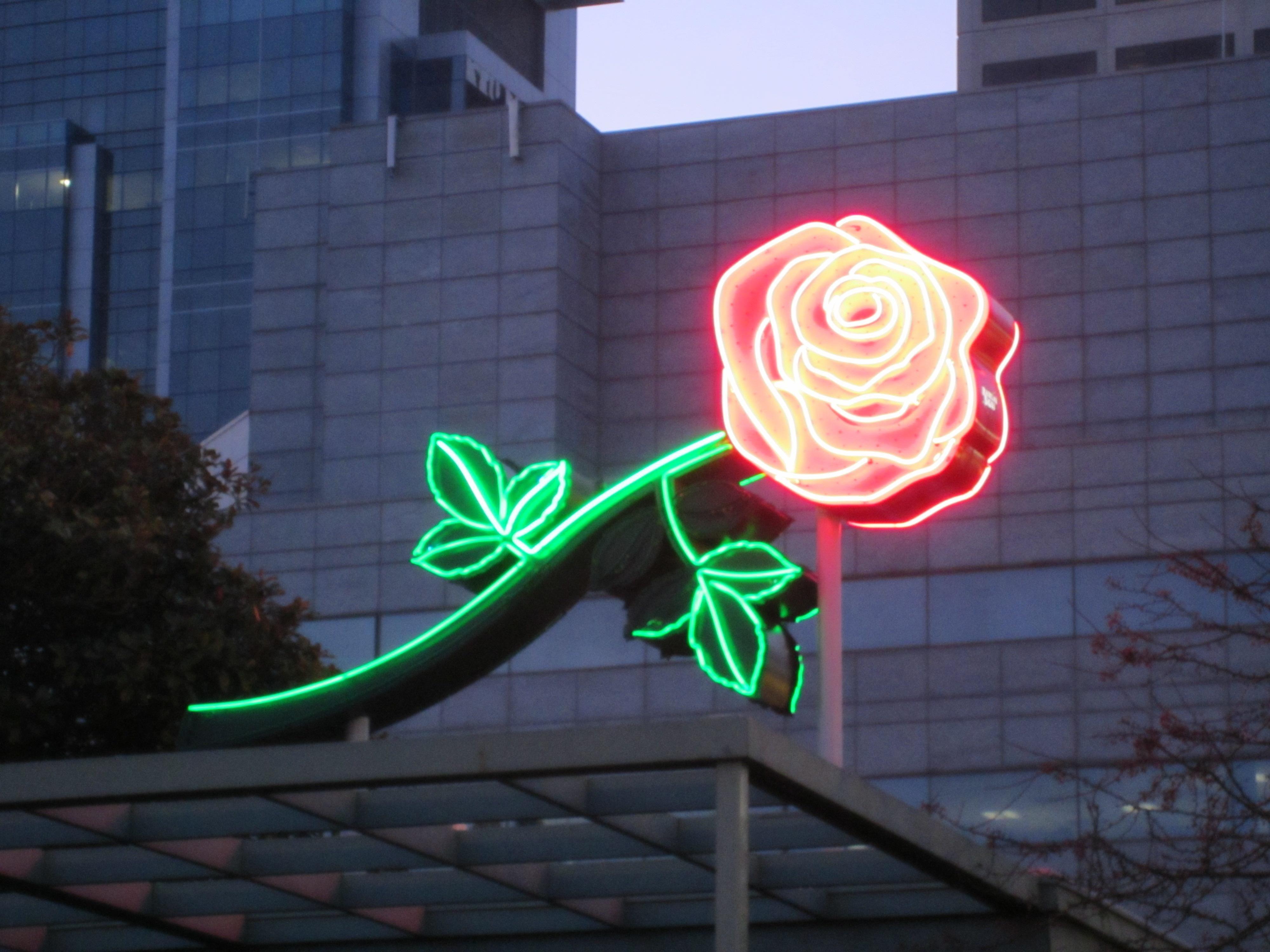 Neon Rose Wallpapers Top Free Neon Rose Backgrounds WallpaperAccess