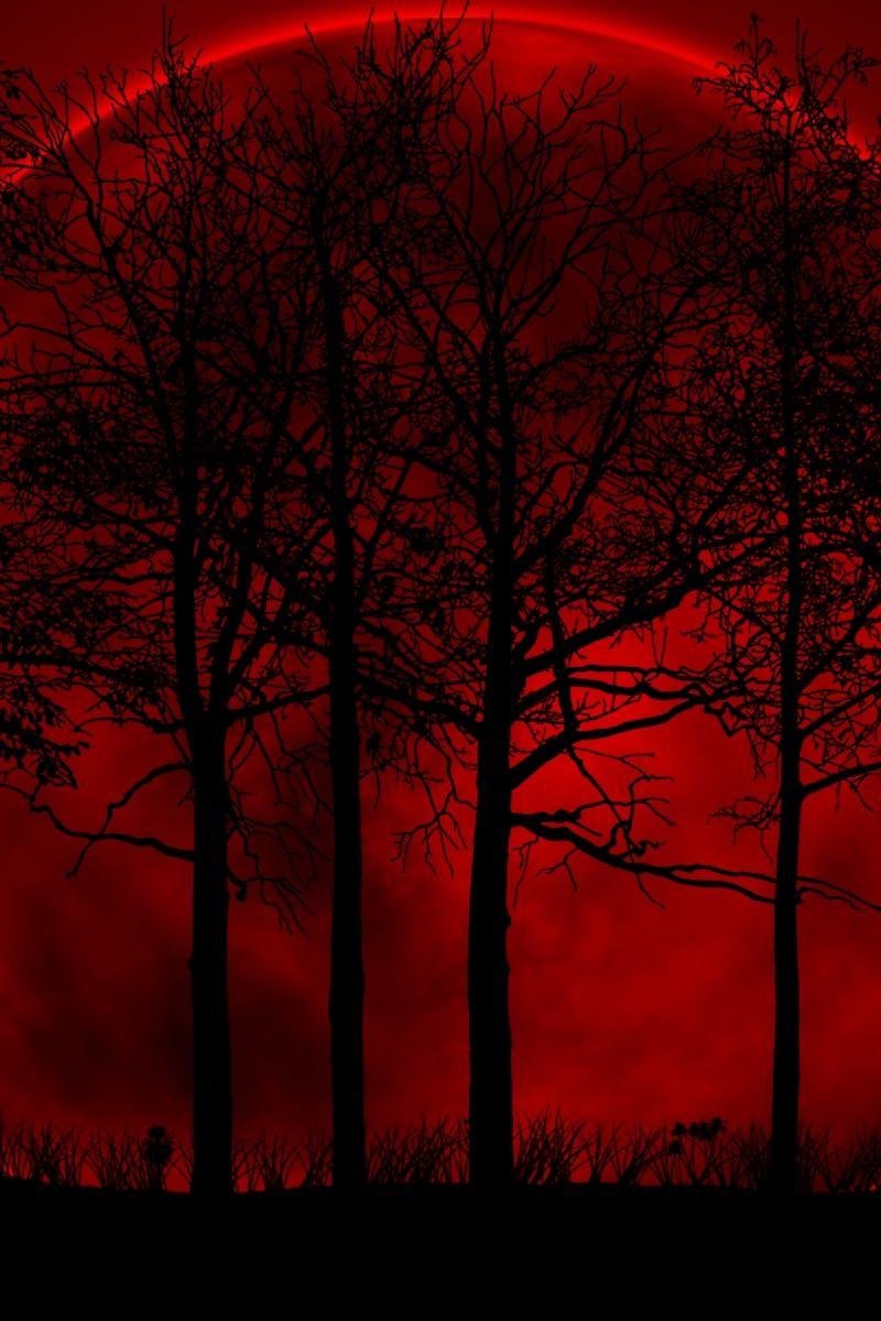 Blood Red Wallpaper