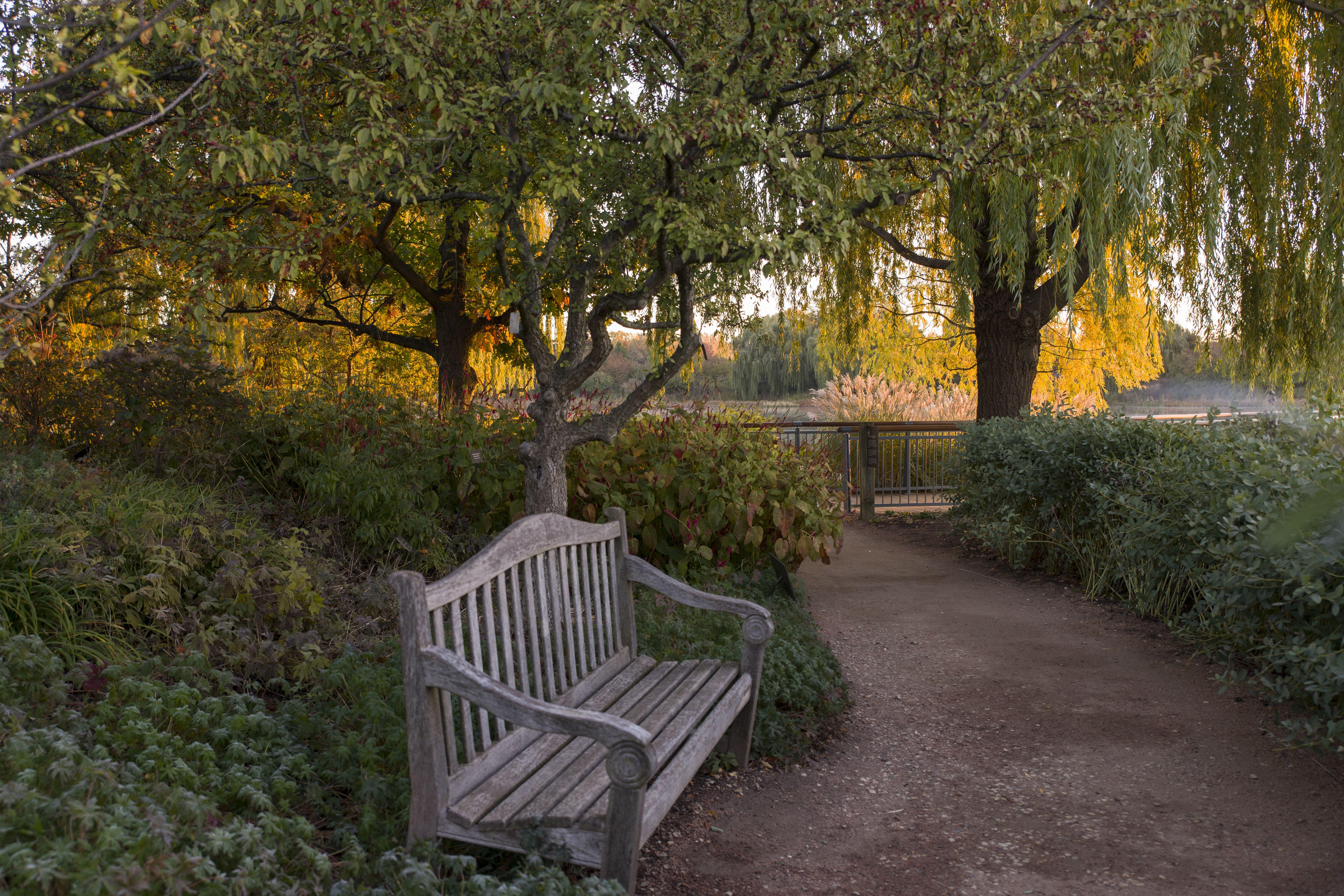 Botanical Garden Wallpapers Top Free Botanical Garden Backgrounds