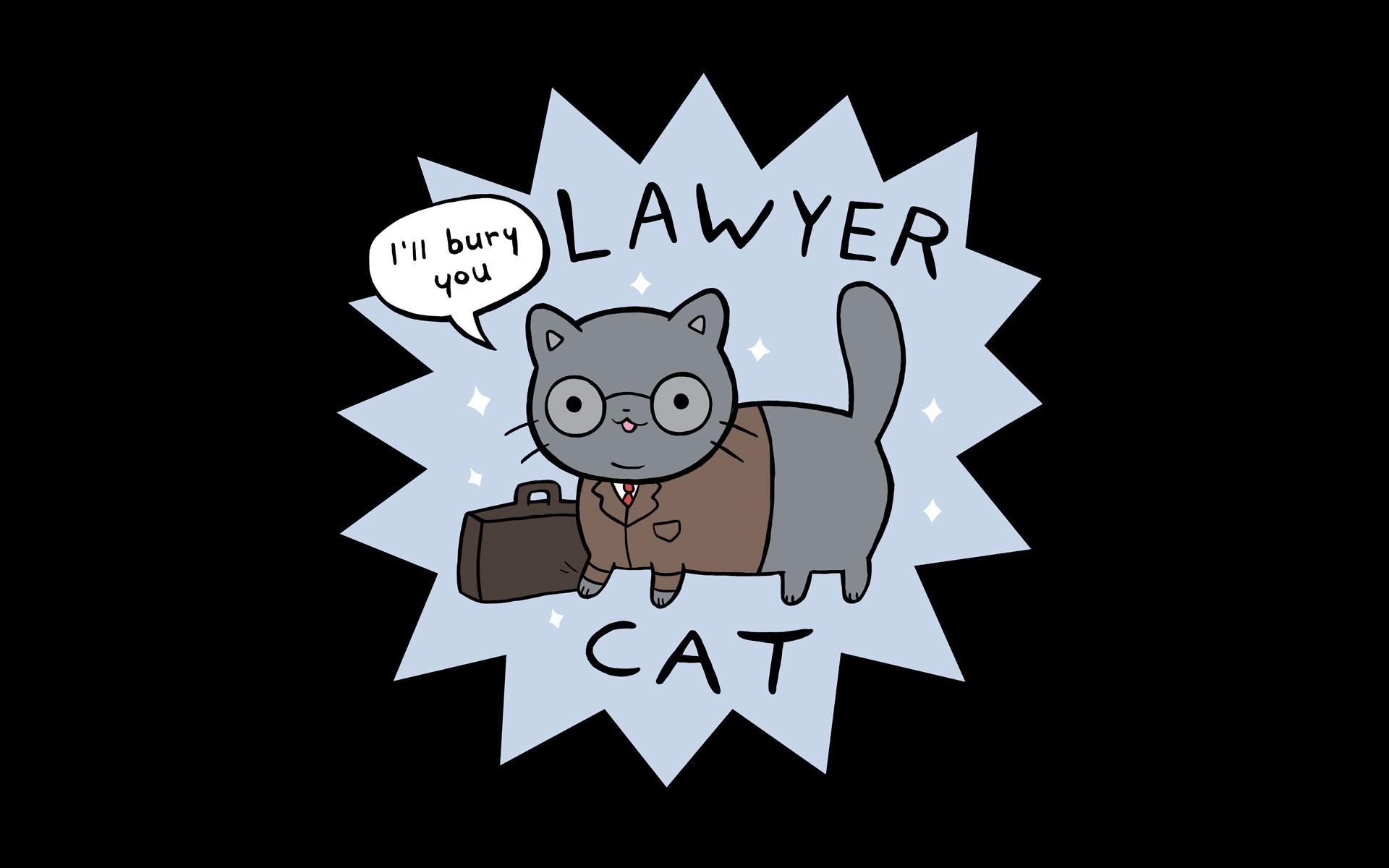 Cute Lawyer Wallpapers Top Free Cute Lawyer Backgrounds WallpaperAccess