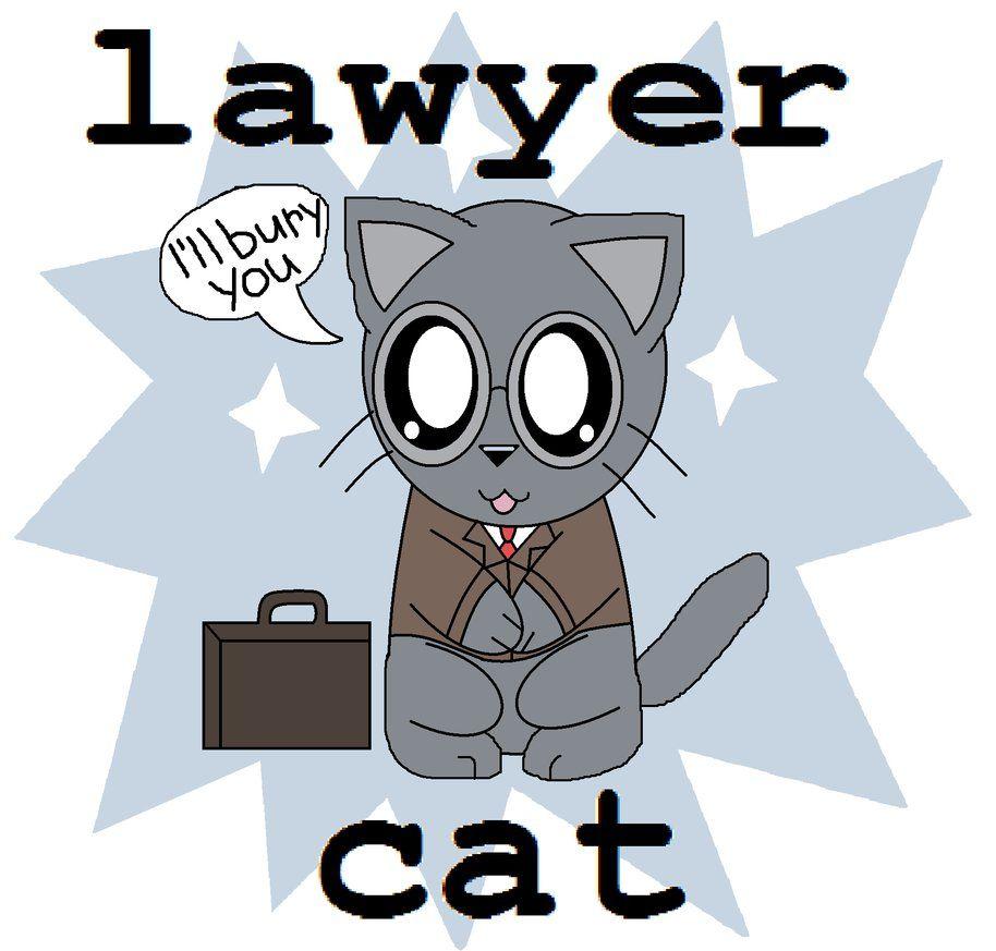 Cute Lawyer Wallpapers Top Free Cute Lawyer Backgrounds WallpaperAccess