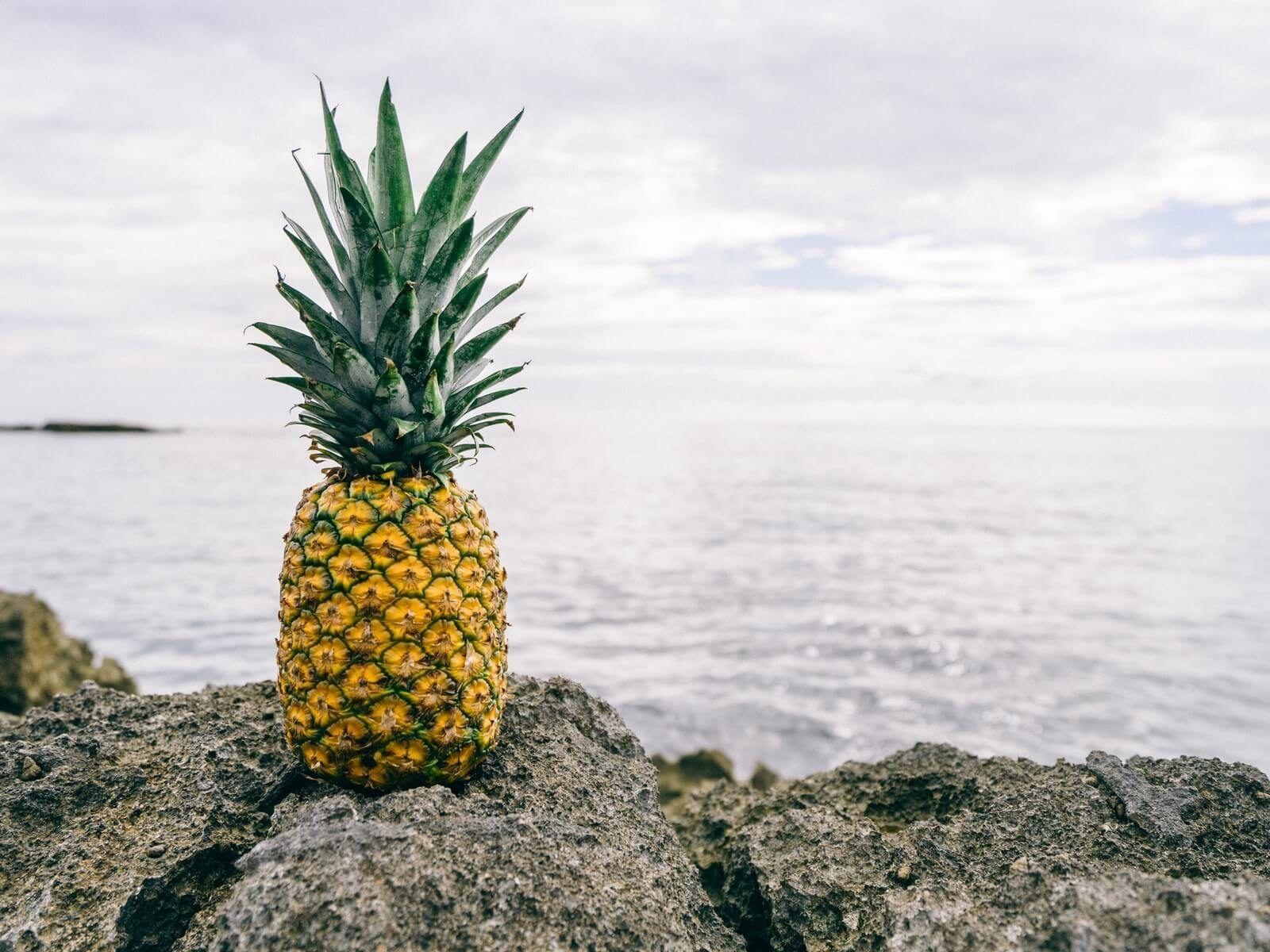 Cool Pineapple Wallpapers Top Free Cool Pineapple Backgrounds
