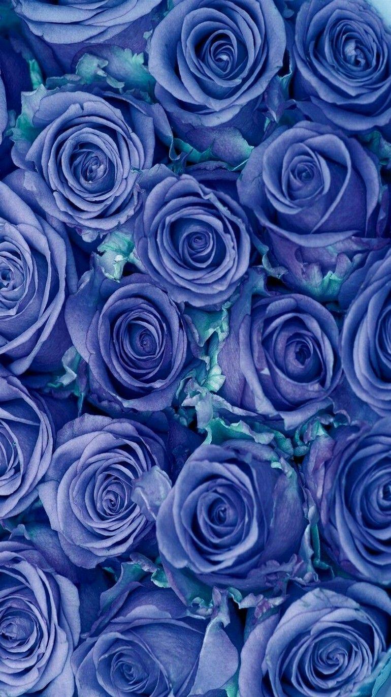 Blue Flowers Phone Wallpapers Top Free Blue Flowers Phone Backgrounds