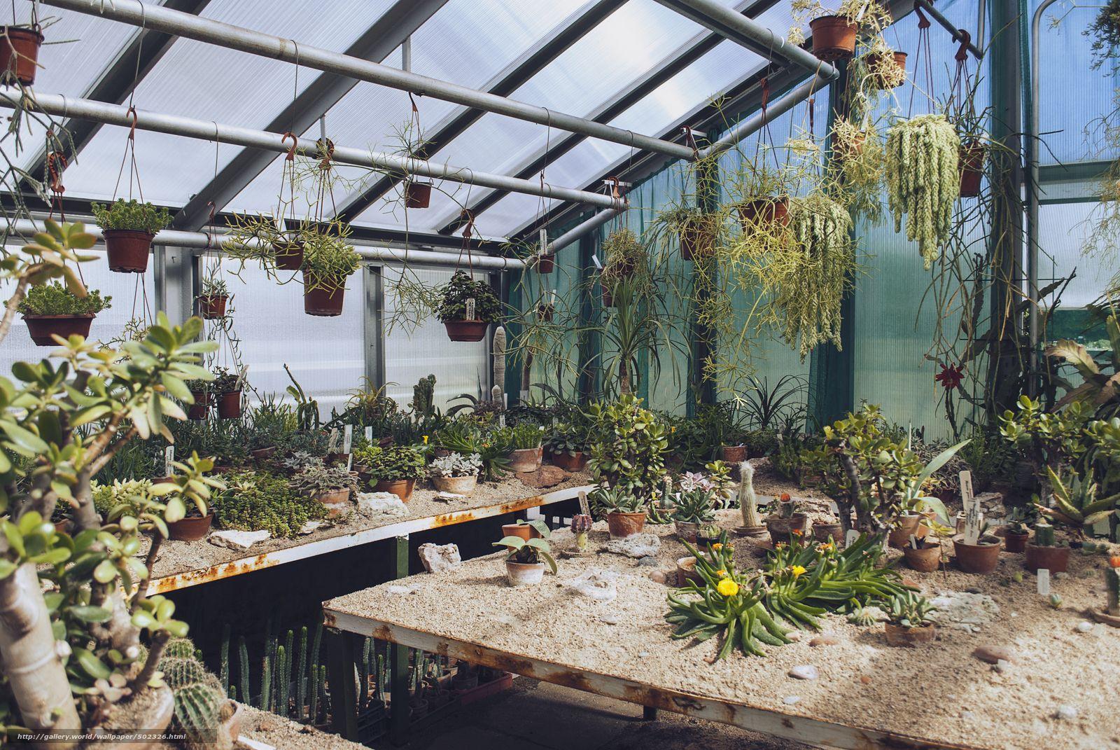 Greenhouse Wallpapers Top Free Greenhouse Backgrounds WallpaperAccess