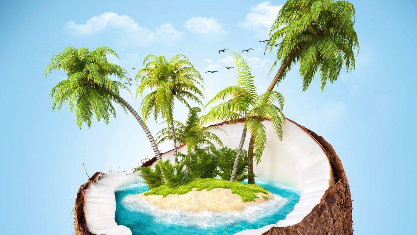Coconut Tree Wallpapers Top Free Coconut Tree Backgrounds