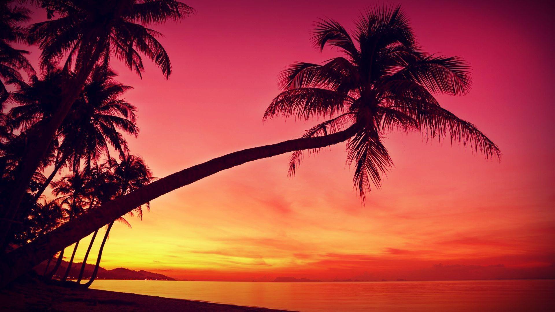 Tropical Beach Sunset Wallpapers Top Free Tropical Beach Sunset Backgrounds WallpaperAccess