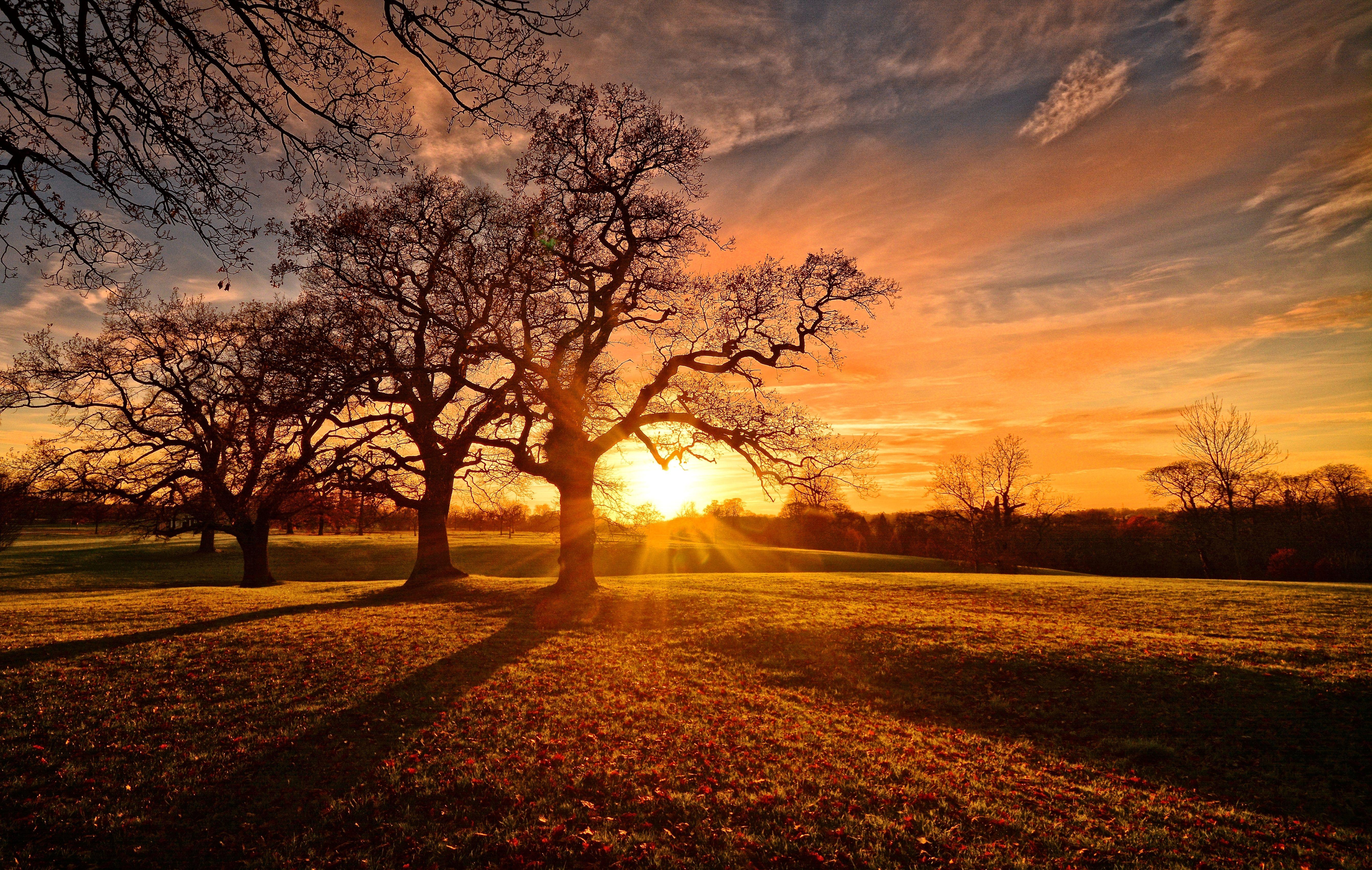 Autumn Sunset Wallpapers Top Free Autumn Sunset Backgrounds
