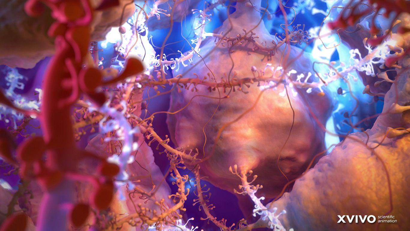 Animated Science Wallpaper