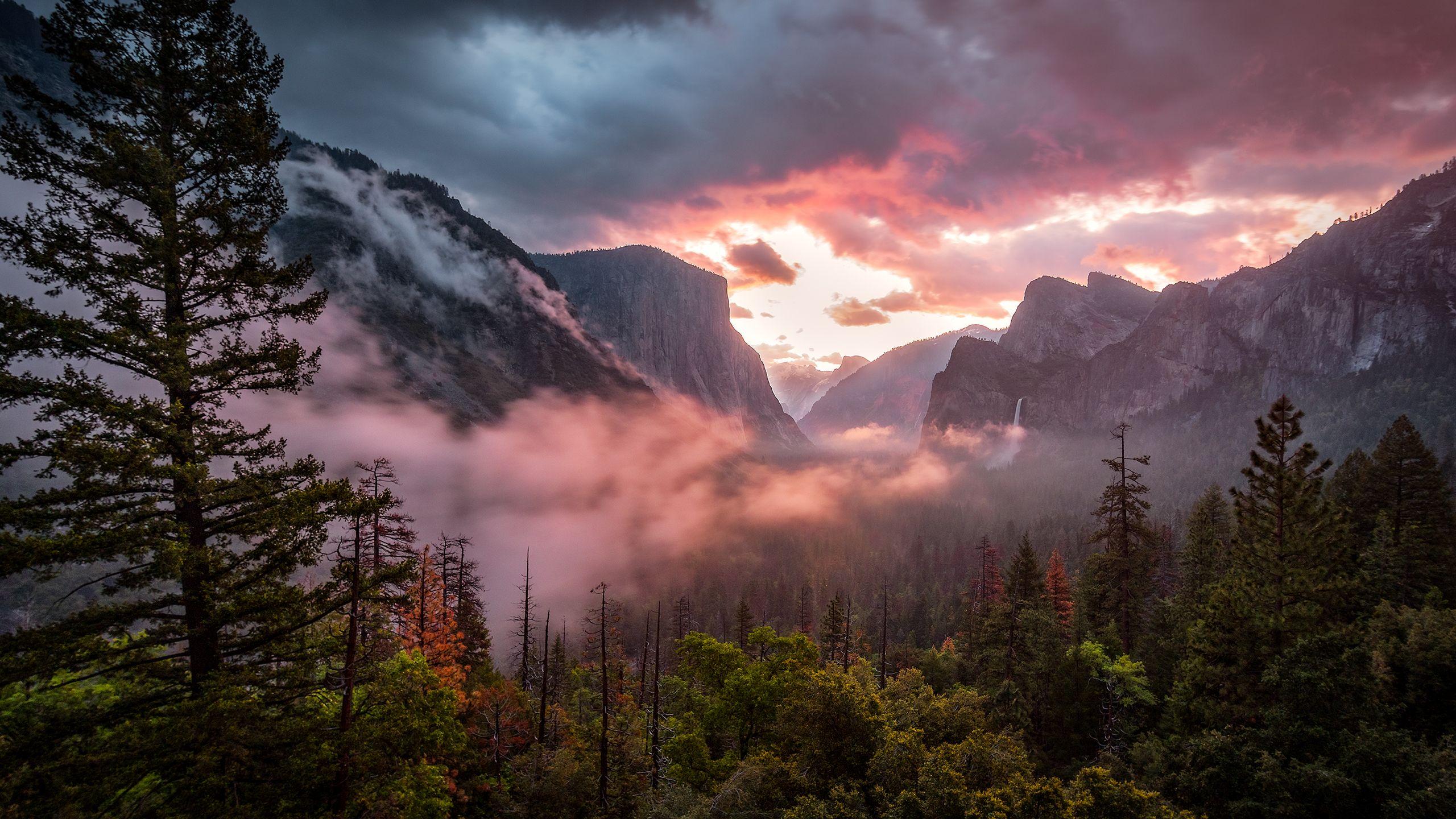 2560X1440 Wallpapers Top Free 2560X1440 Backgrounds WallpaperAccess