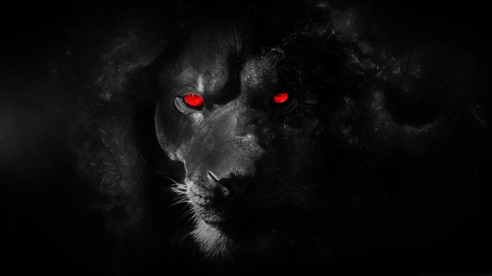 Red Lion Wallpapers Top Free Red Lion Backgrounds WallpaperAccess