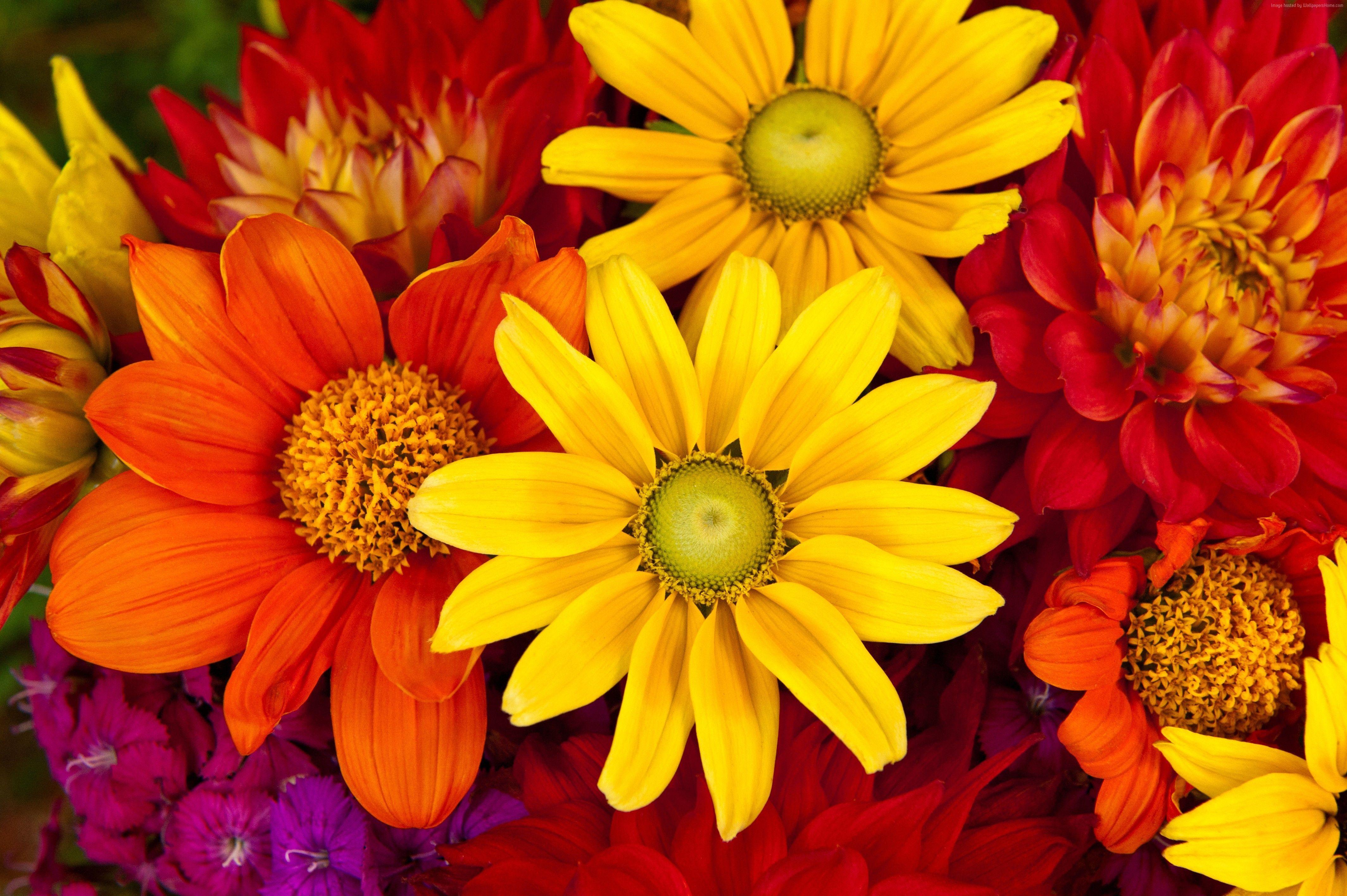 Fall Floral Wallpapers Top Free Fall Floral Backgrounds WallpaperAccess