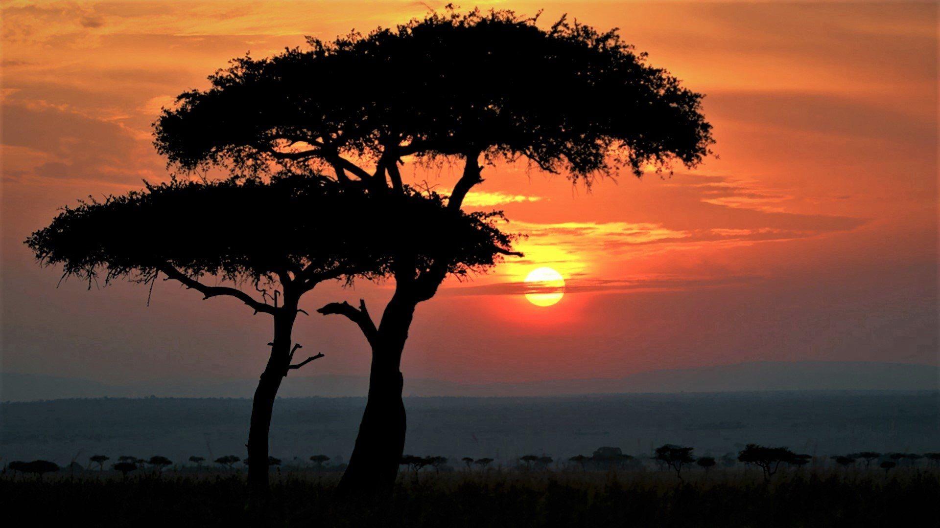 African Sunrise Wallpapers Top Free African Sunrise Backgrounds