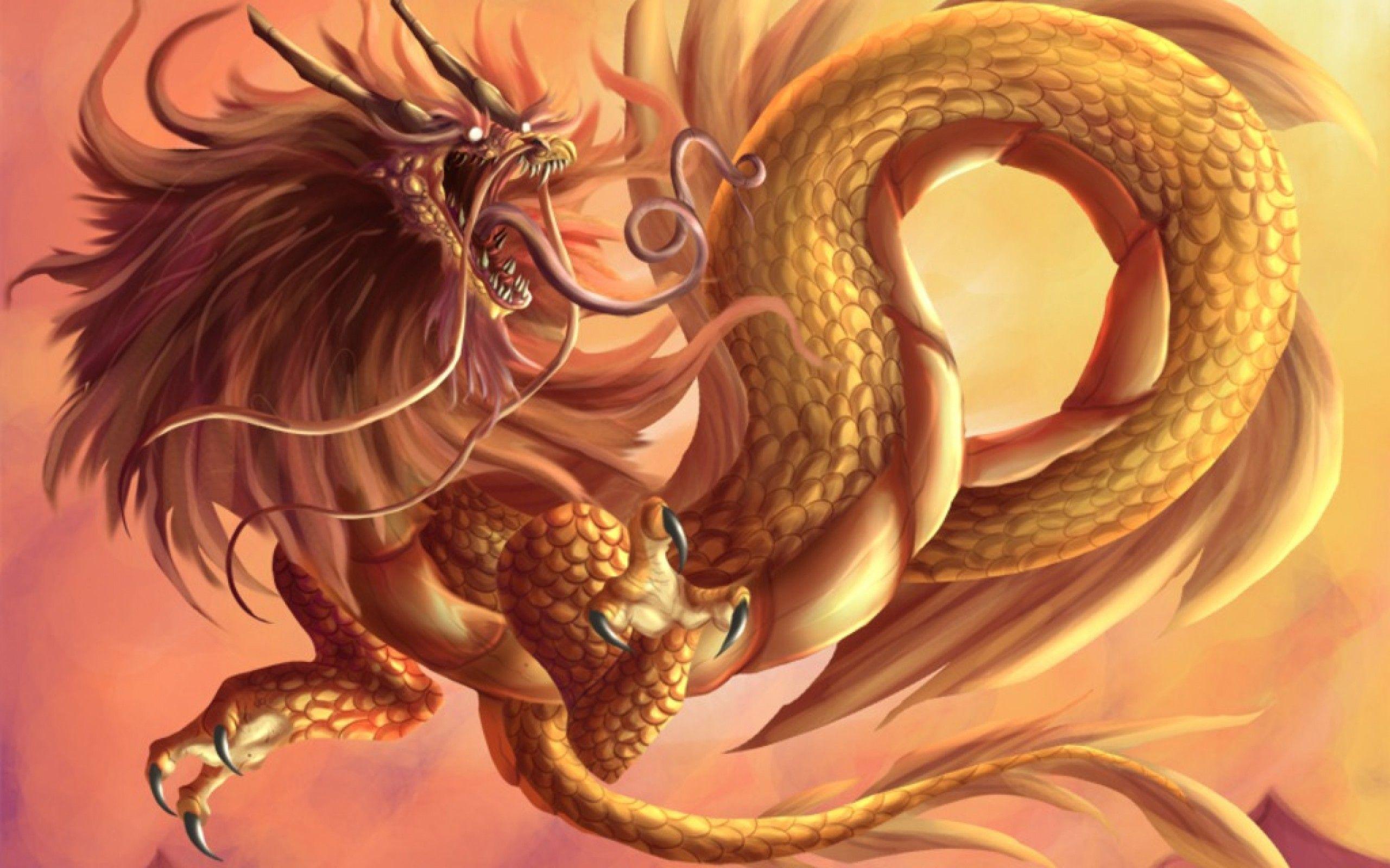 Golden Dragon Wallpapers Top Free Golden Dragon Backgrounds