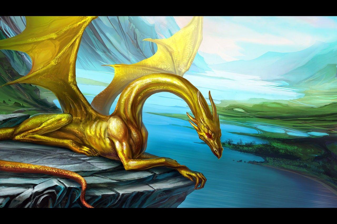 Golden Dragon Wallpapers Top Free Golden Dragon Backgrounds