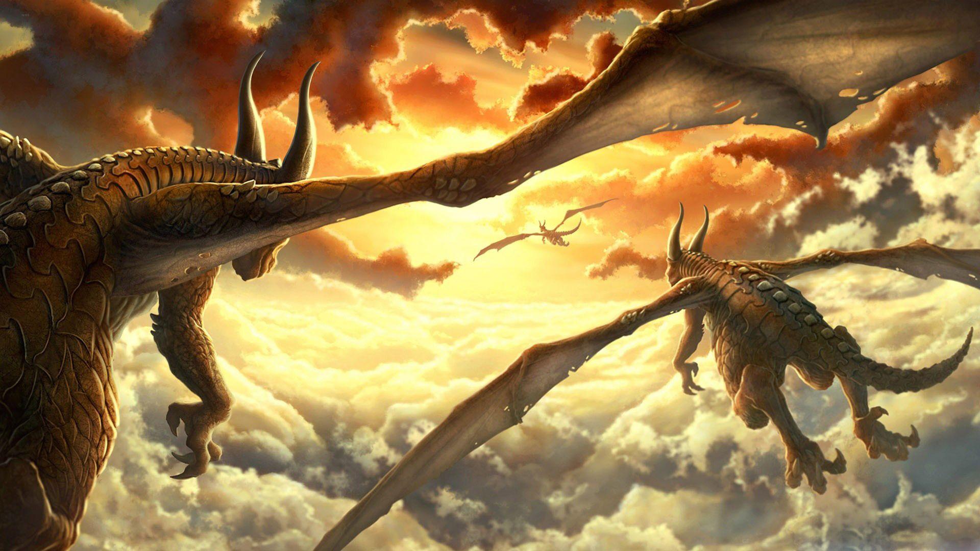 Yellow Dragon Wallpapers Top Free Yellow Dragon Backgrounds