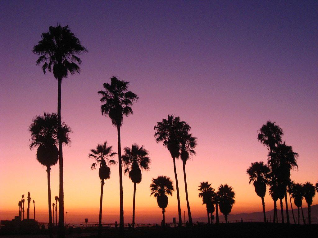 Venice Beach Sunset Wallpapers Top Free Venice Beach Sunset Backgrounds WallpaperAccess