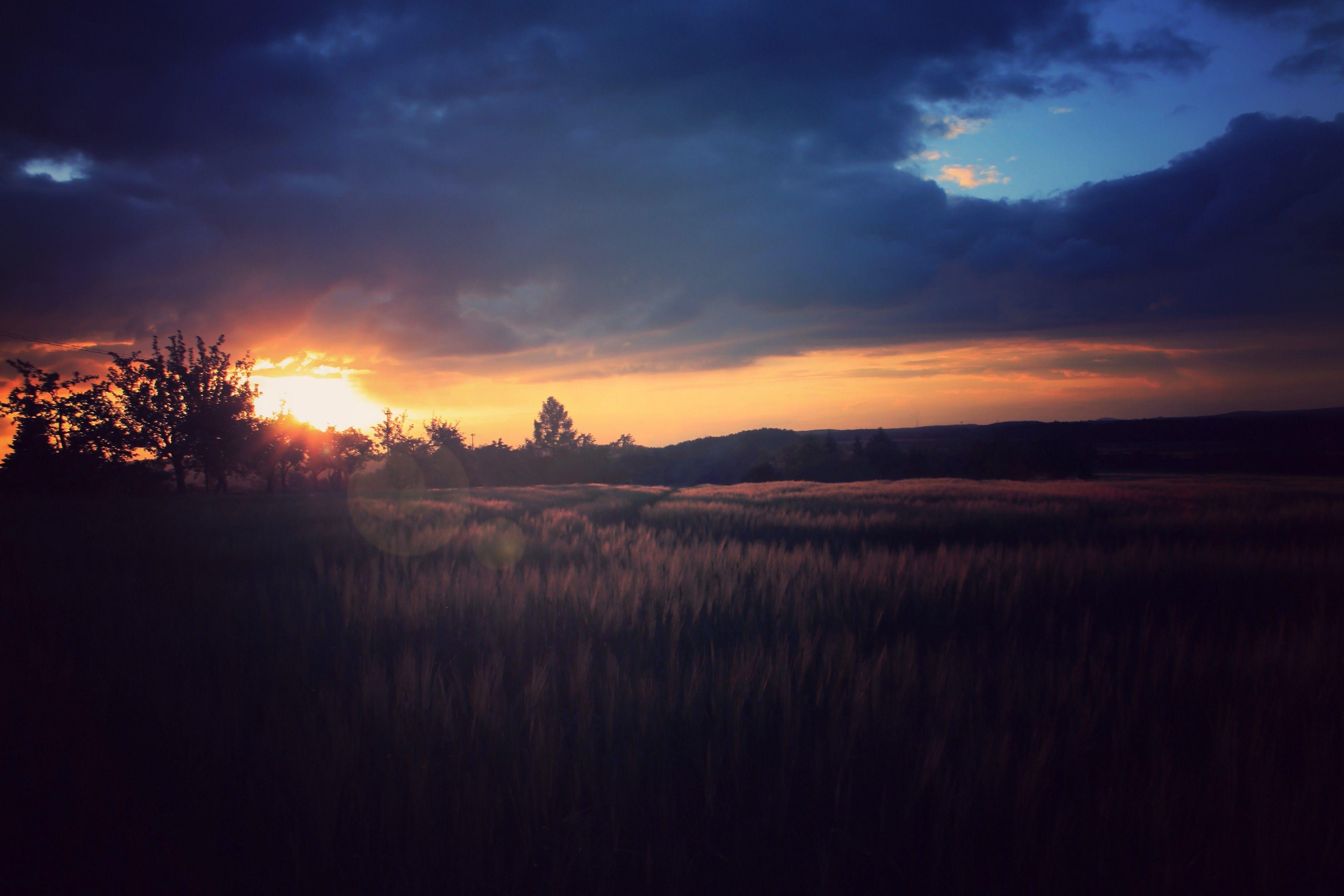 Night Nature Wallpapers Top Free Night Nature Backgrounds