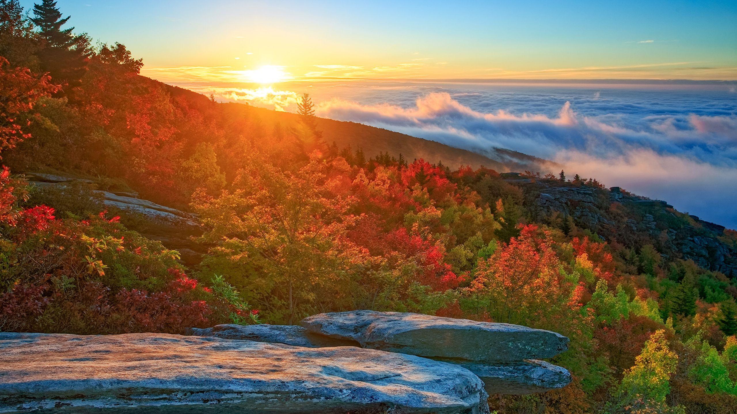 North Carolina Wallpapers Top Free North Carolina Backgrounds