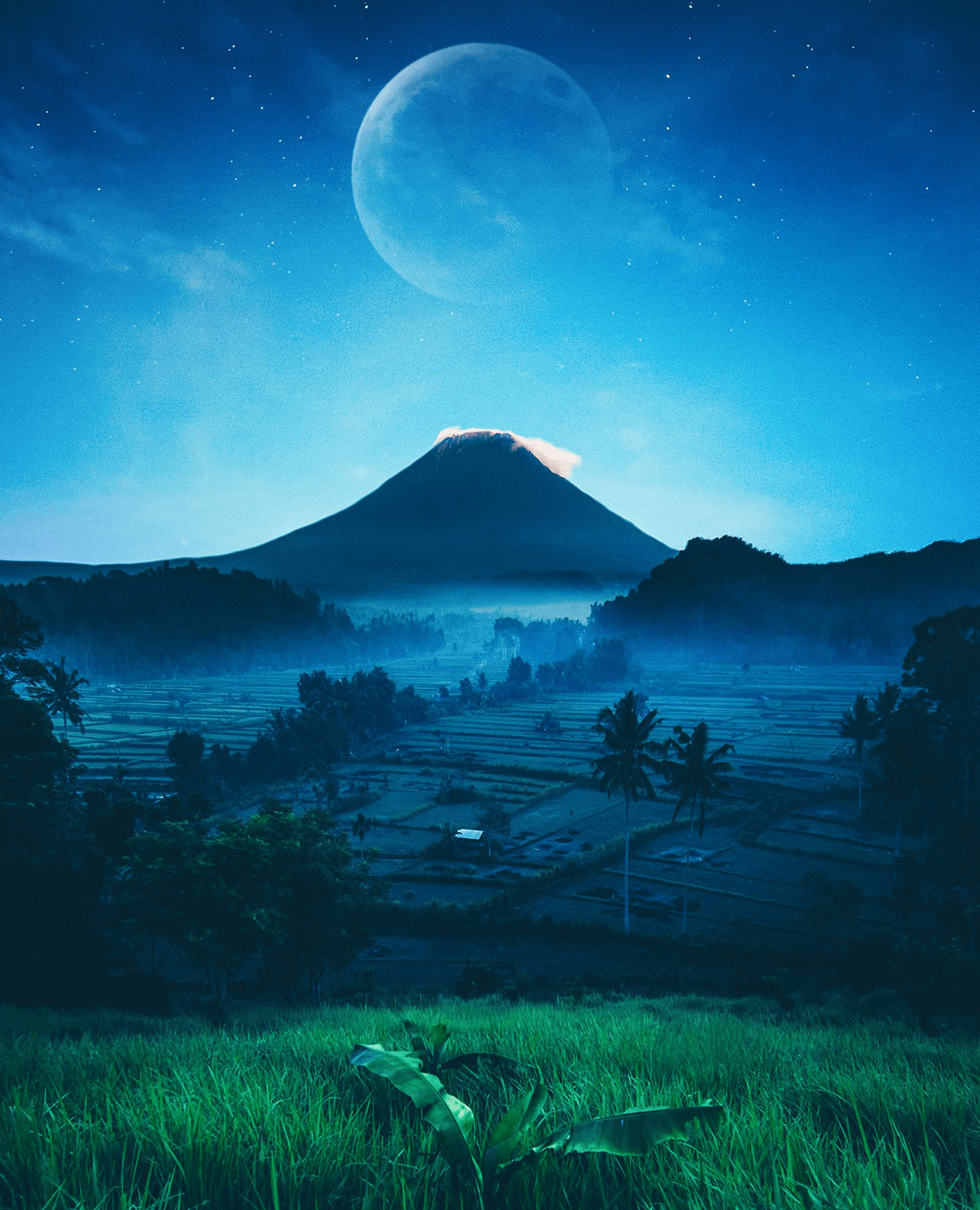 Perspective iPhone Wallpapers Top Free Perspective iPhone Backgrounds