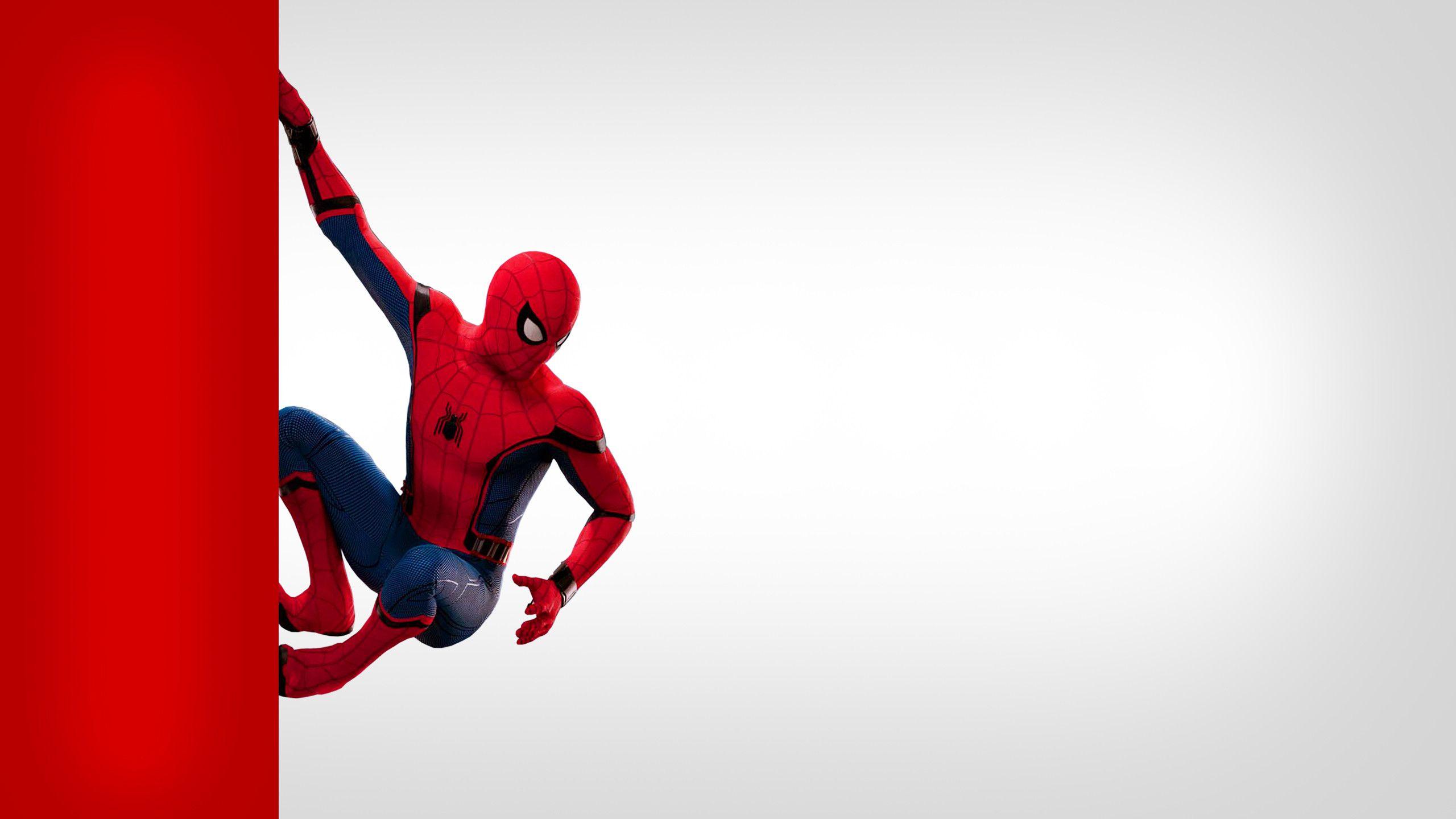Cute Spiderman Wallpapers Top Free Cute Spiderman Backgrounds