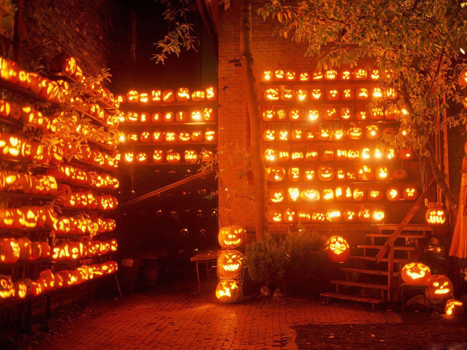 Harry Potter Halloween Wallpapers Top Free Harry Potter Halloween