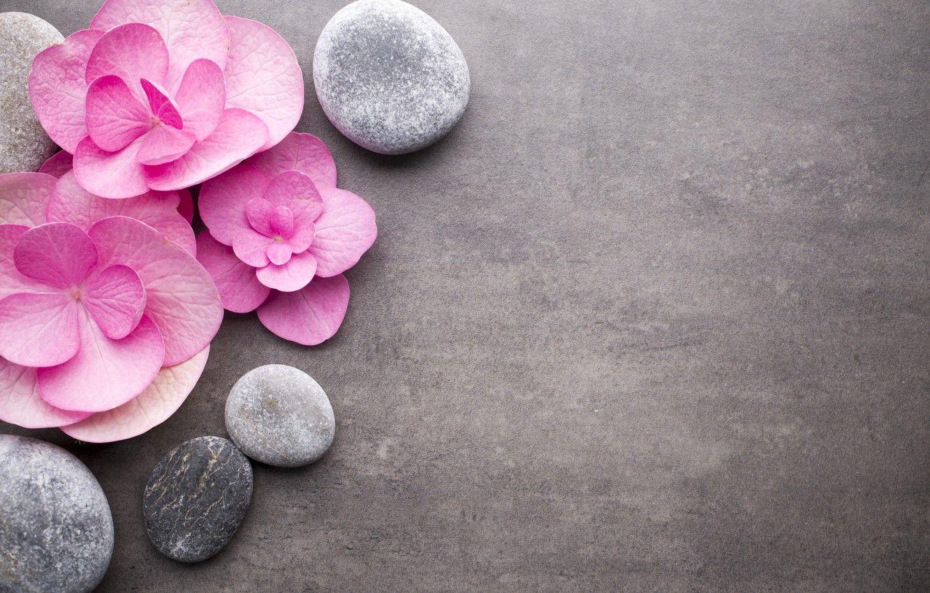 Zen Flowers Wallpapers Top Free Zen Flowers Backgrounds WallpaperAccess