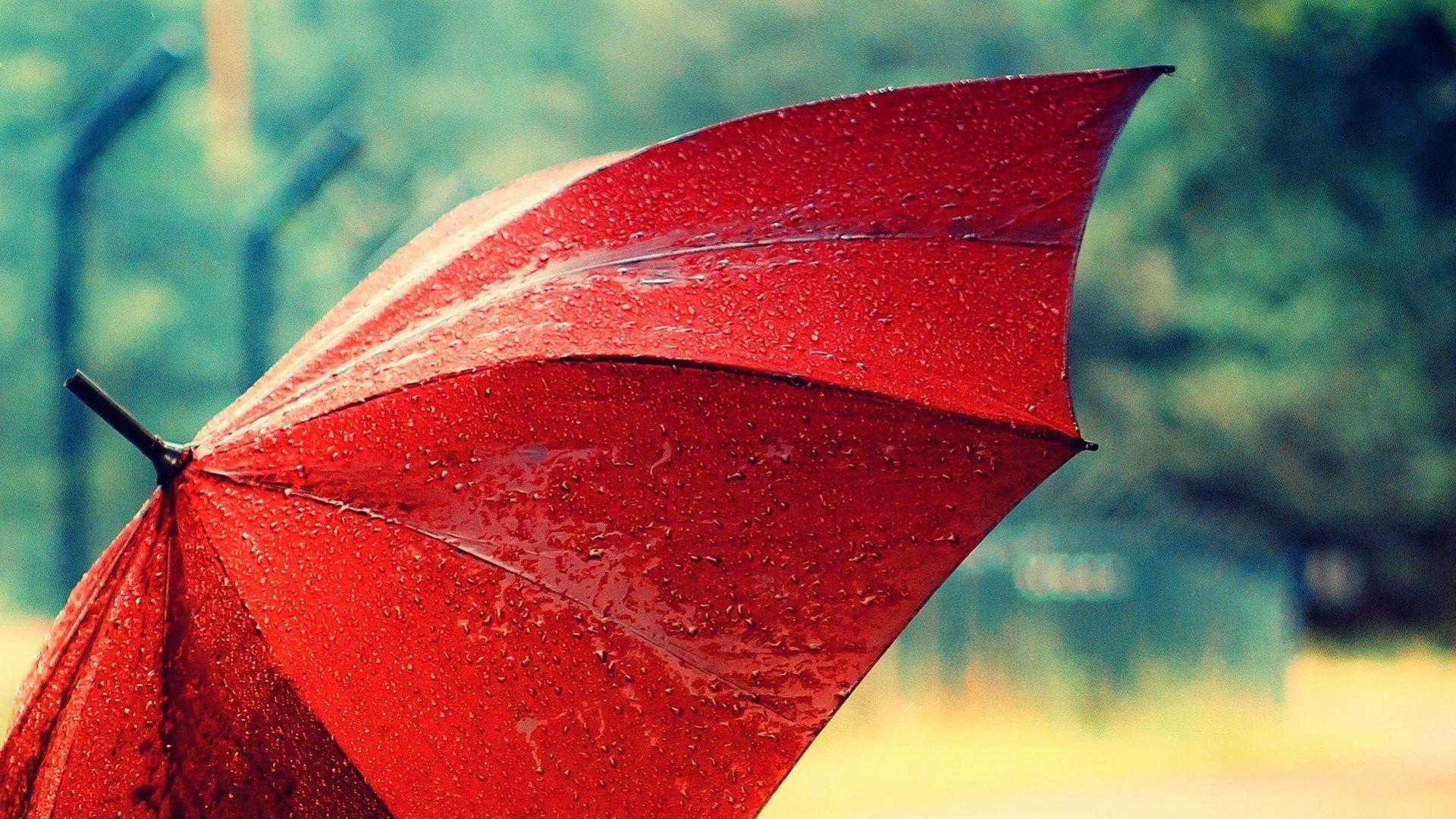 Umbrella Wallpapers Top Free Umbrella Backgrounds WallpaperAccess