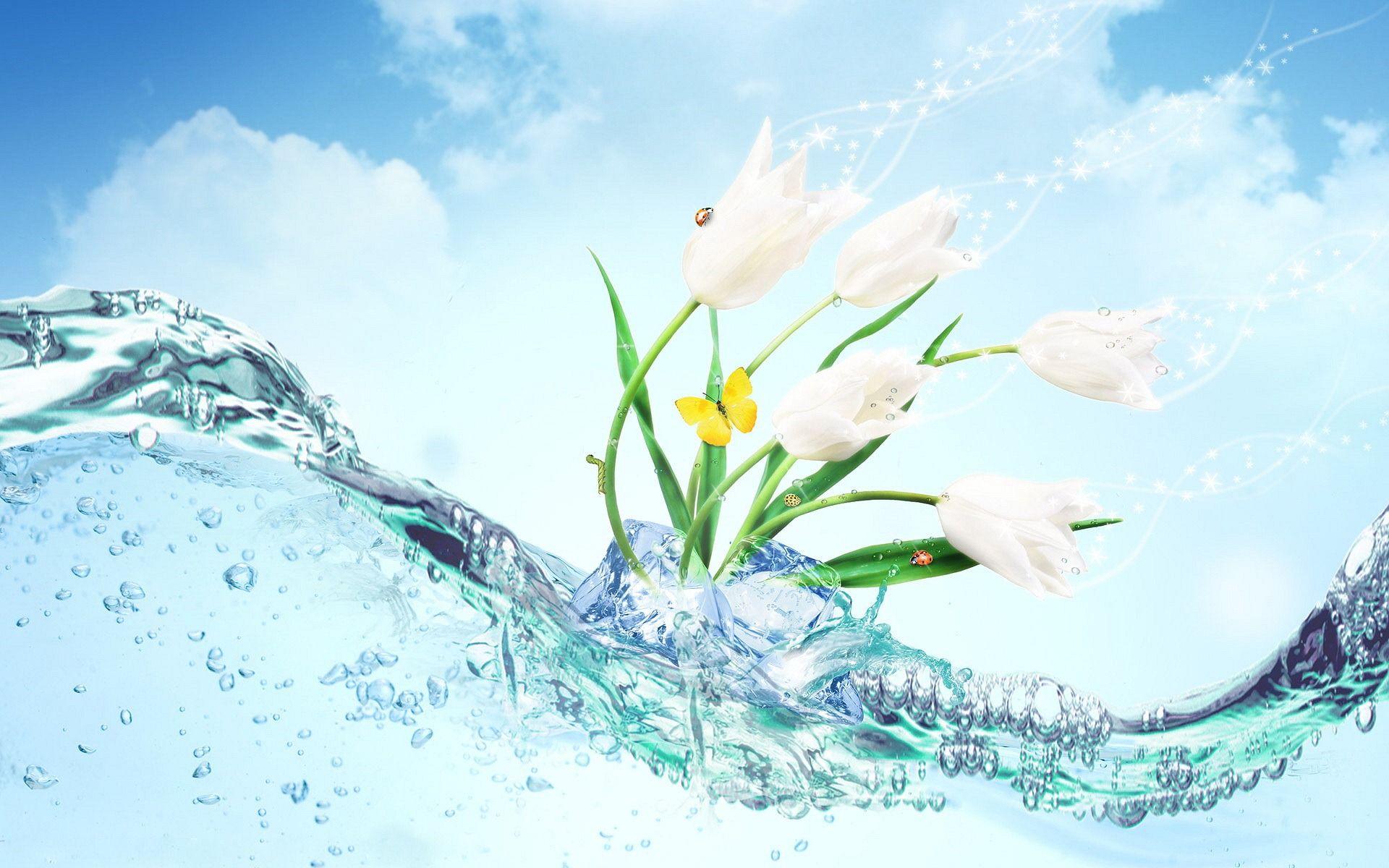 Cool 3D Water Wallpapers Top Free Cool 3D Water Backgrounds