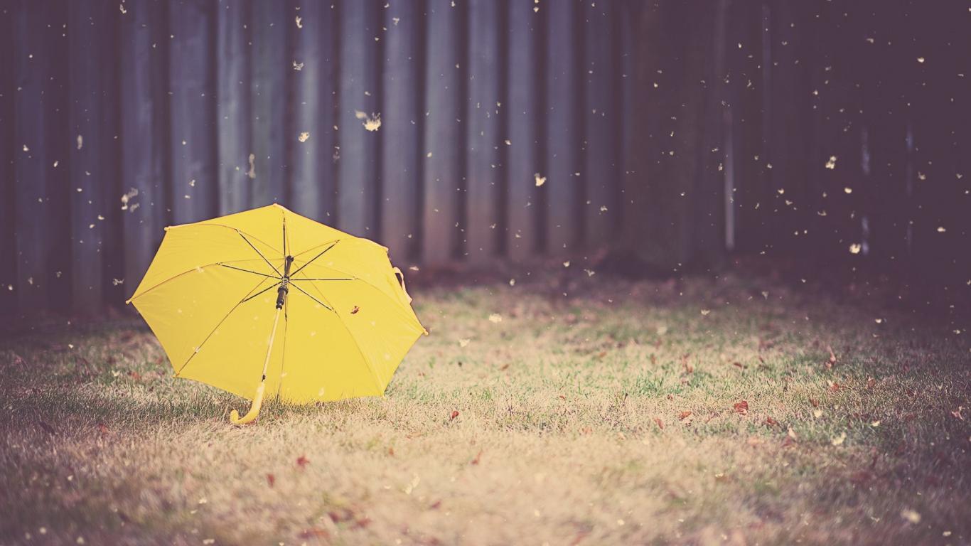 Umbrella Wallpapers Top Free Umbrella Backgrounds WallpaperAccess