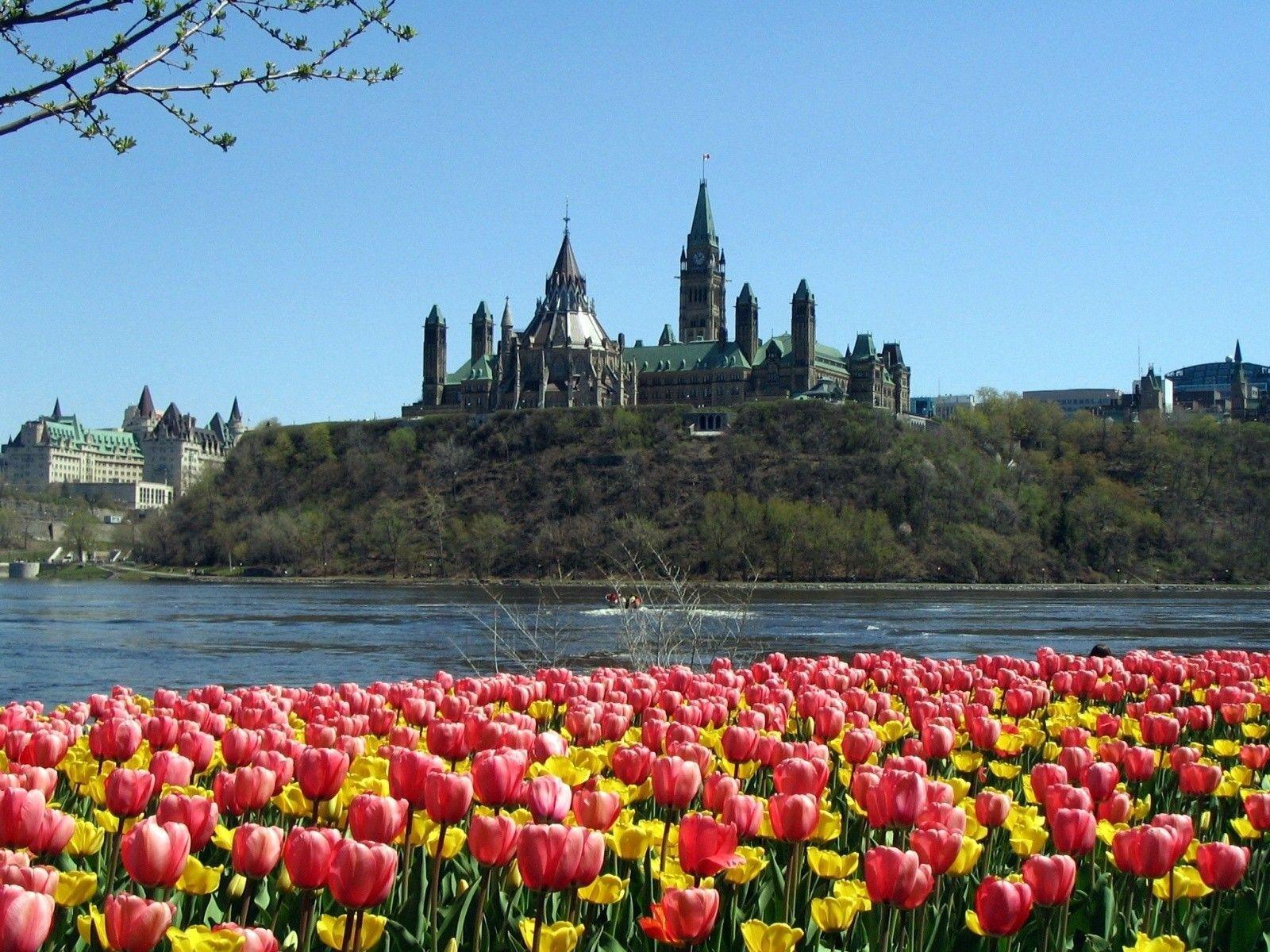 Ottawa Wallpapers Top Free Ottawa Backgrounds WallpaperAccess