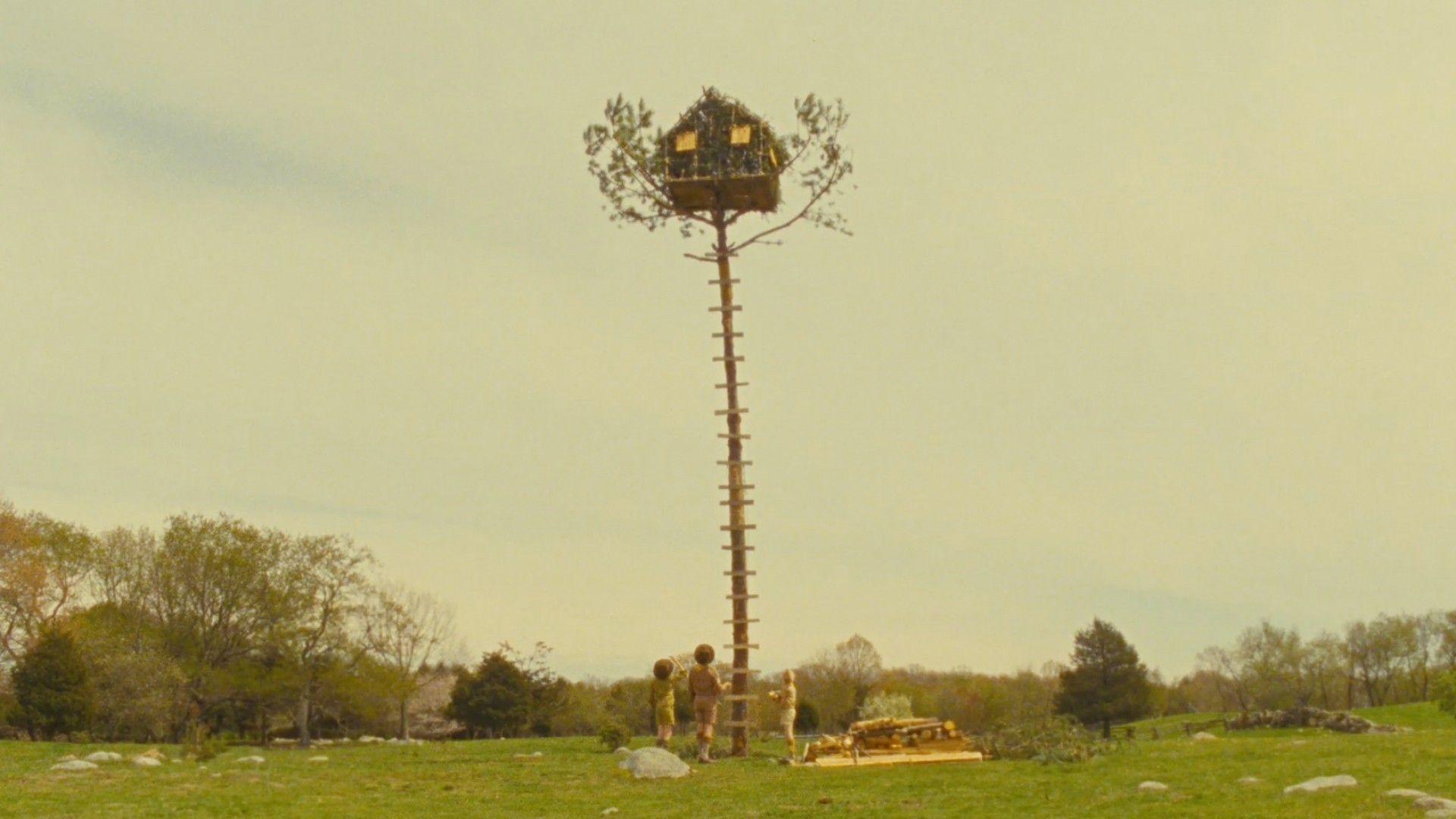 Wes Anderson Wallpapers Top Free Wes Anderson Backgrounds