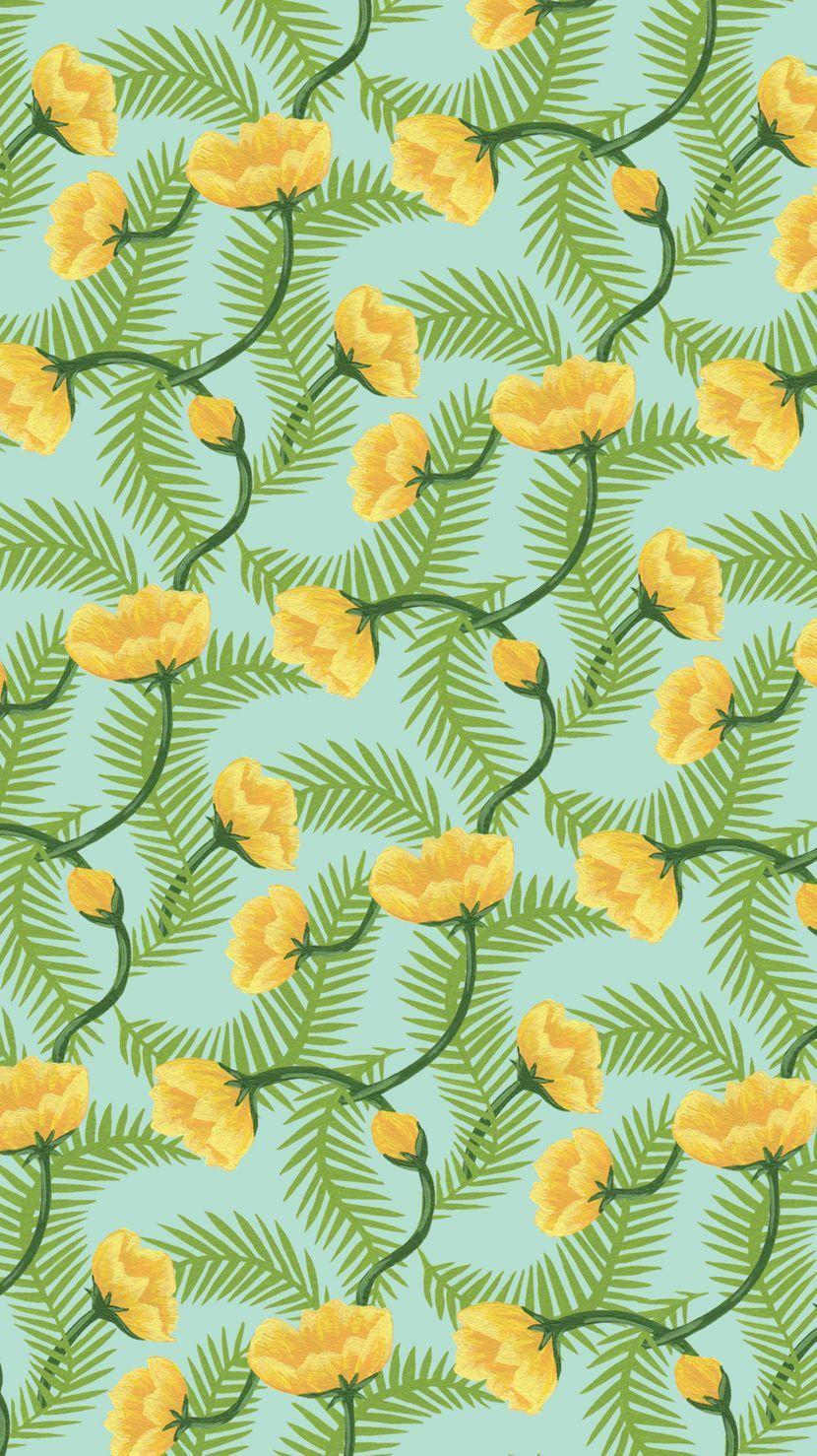 Wes Anderson Wallpapers Top Free Wes Anderson Backgrounds