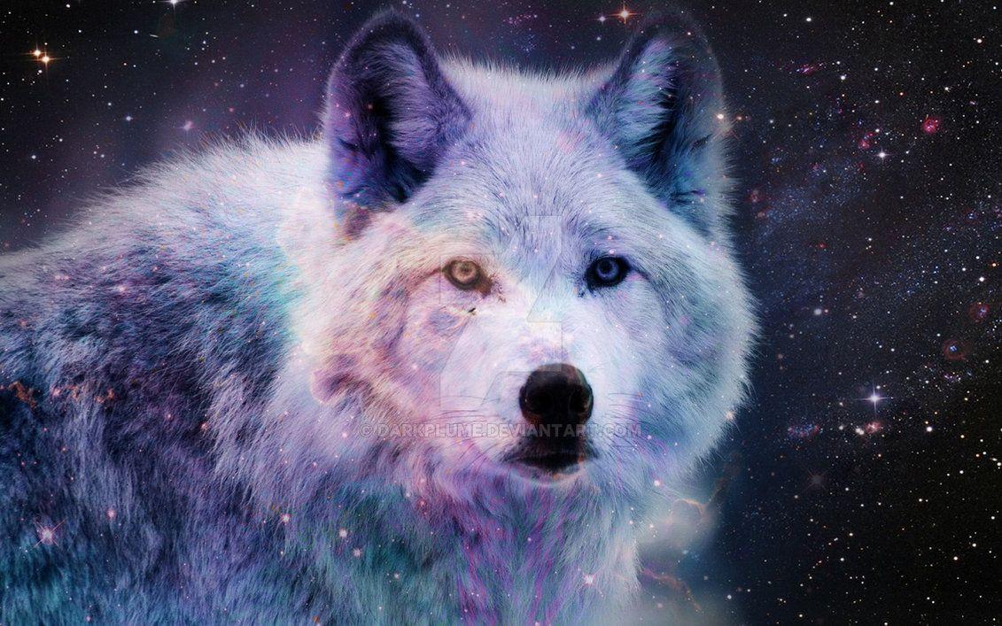 Galaxy Wolf Wallpapers Top Free Galaxy Wolf Backgrounds WallpaperAccess