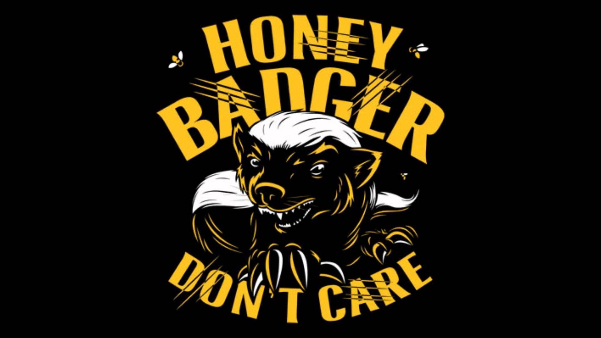 Honey Badger Wallpapers Top Free Honey Badger Backgrounds WallpaperAccess