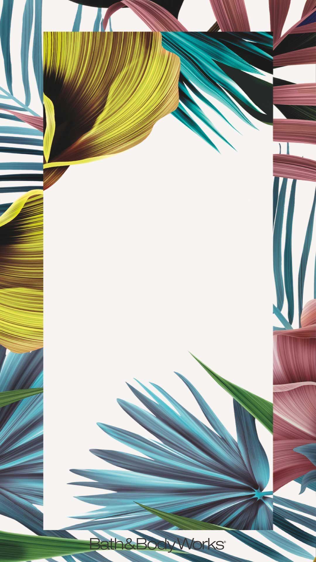 Tropical iPhone Wallpapers Top Free Tropical iPhone Backgrounds WallpaperAccess