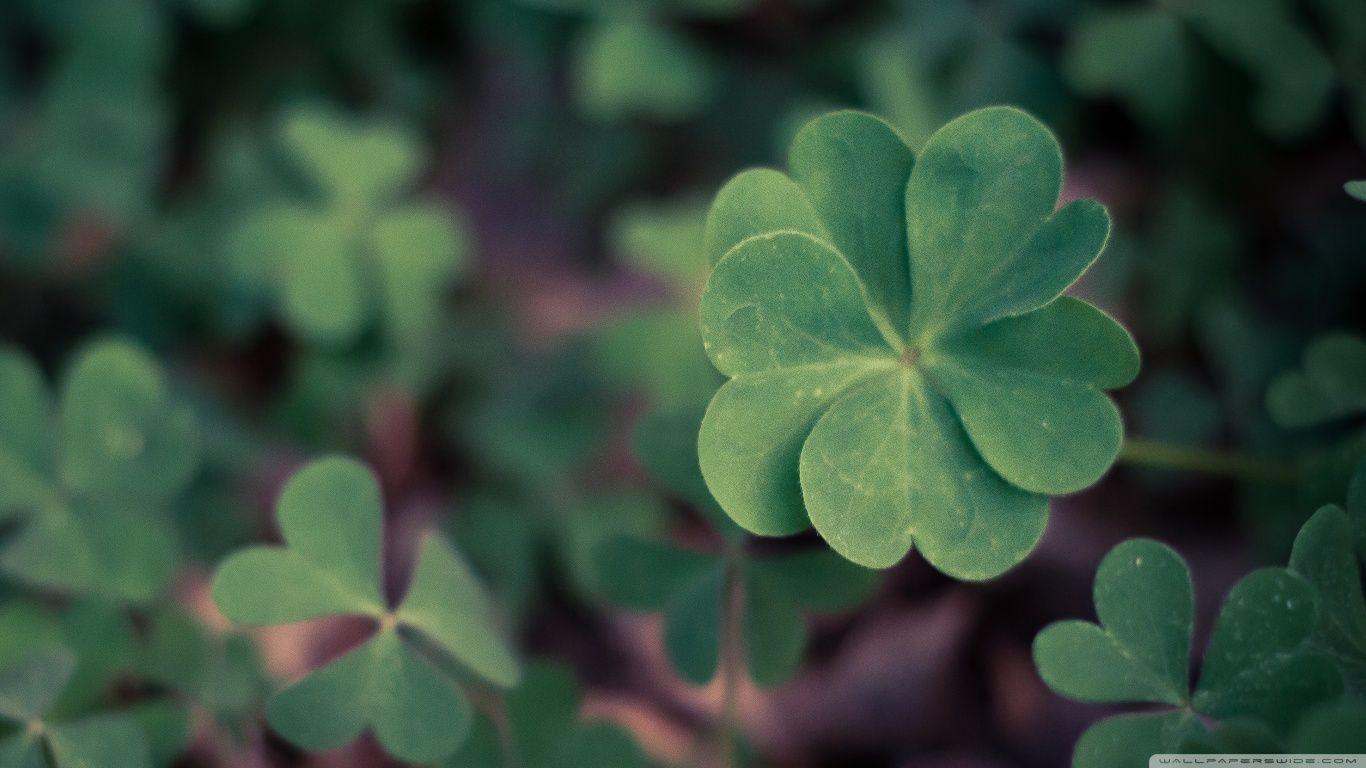 Lucky Wallpapers Top Free Lucky Backgrounds WallpaperAccess