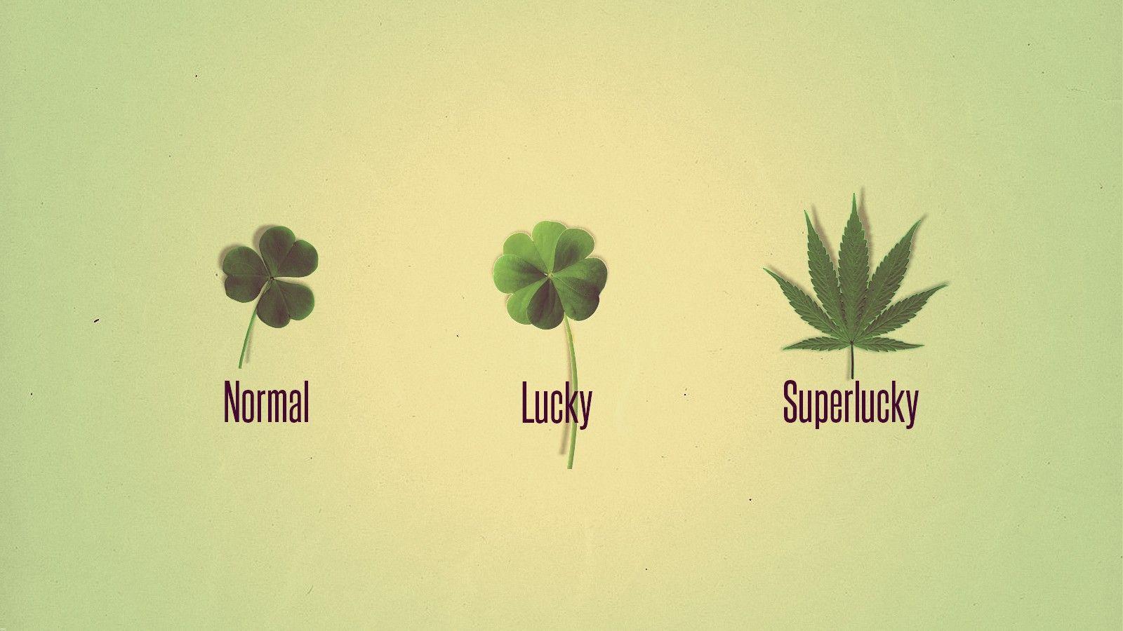 Lucky Wallpapers Top Free Lucky Backgrounds WallpaperAccess